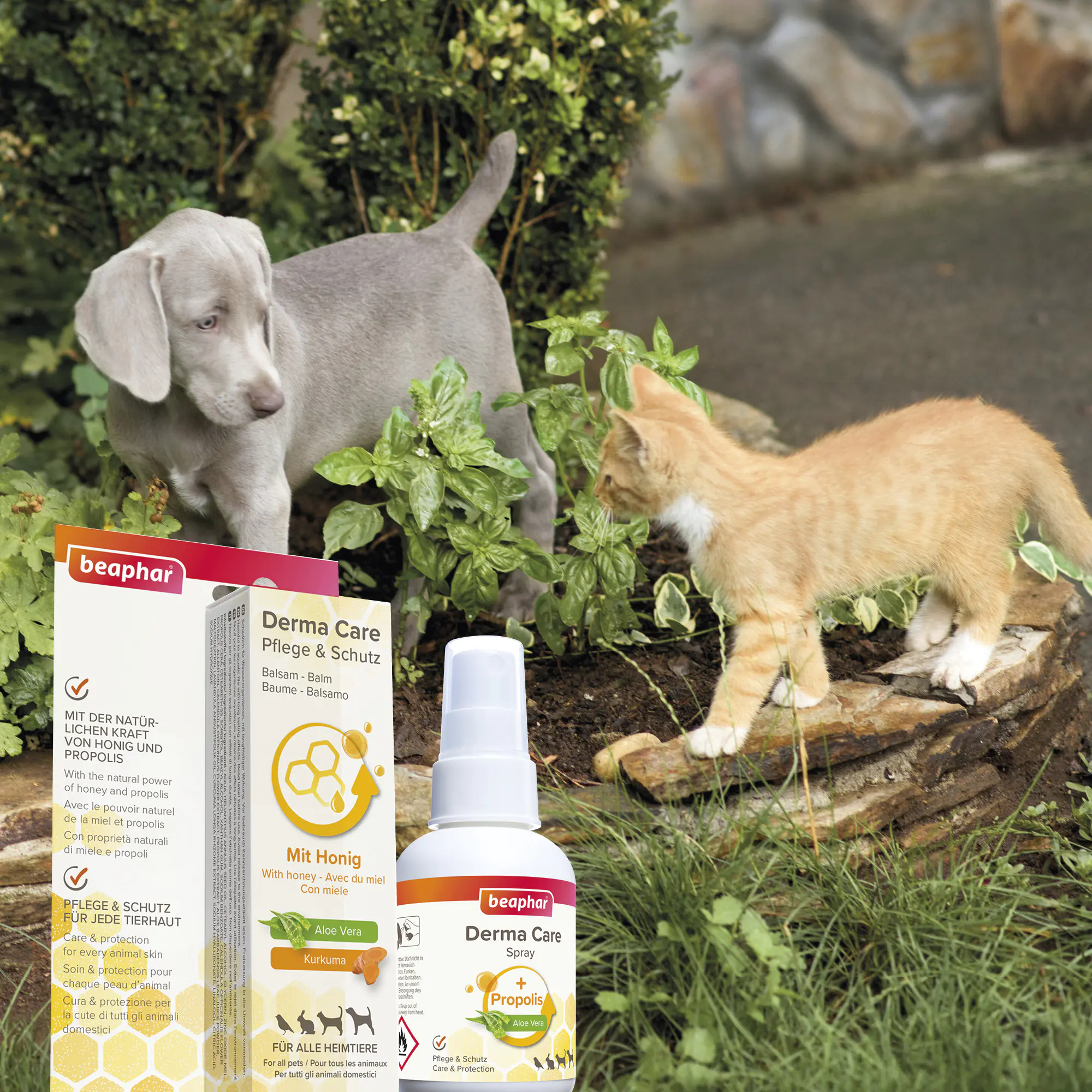 Beaphar Derma Care Balsam für Heimtiere 30 ml  Beaphar Derma Care Balsam für Heimtiere 30 ml