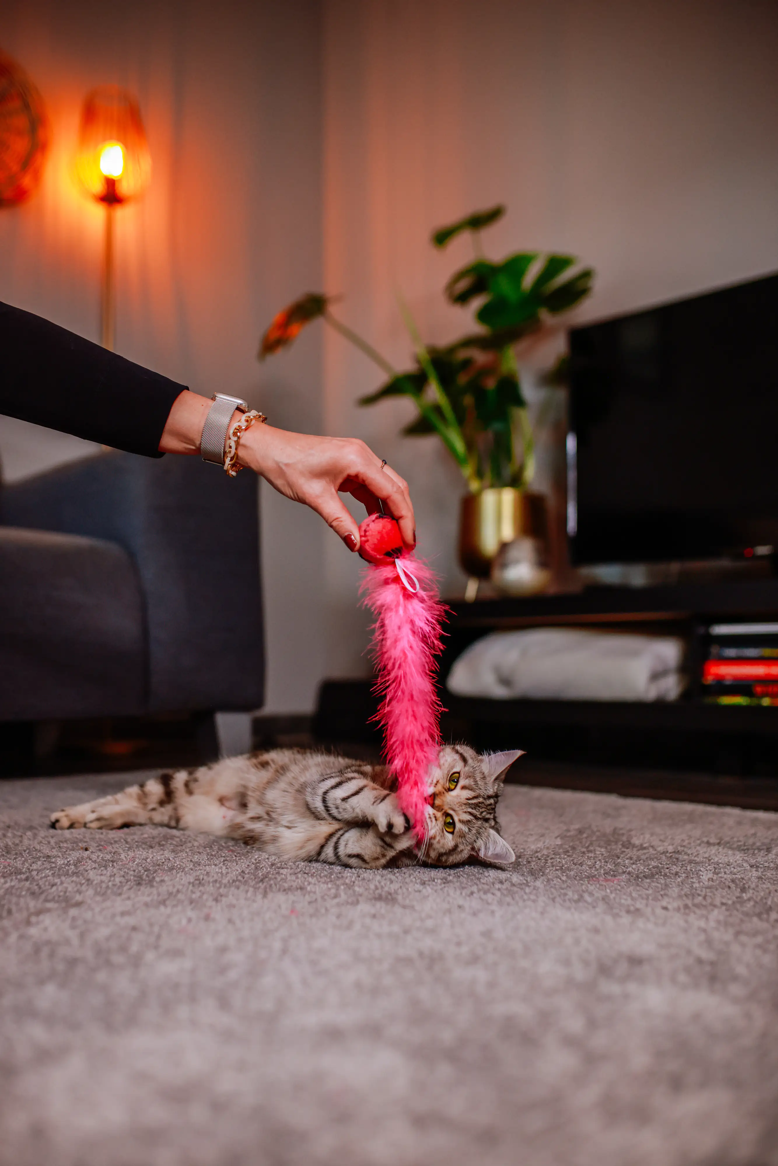 Nobby Ball mit Feder 24 cm