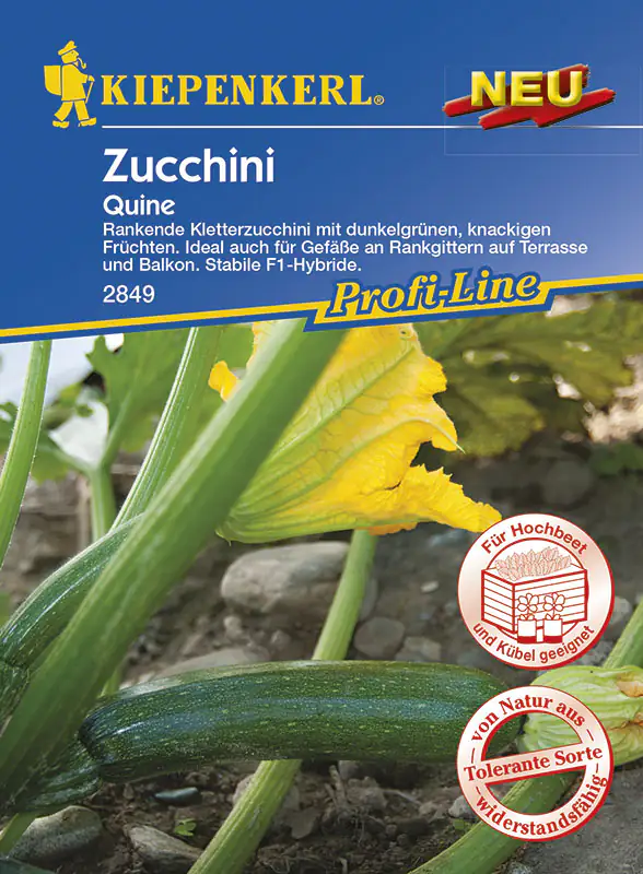 Kiepenkerl Zucchini Quine Cucurbita pepo, Inhalt: 6 Korn