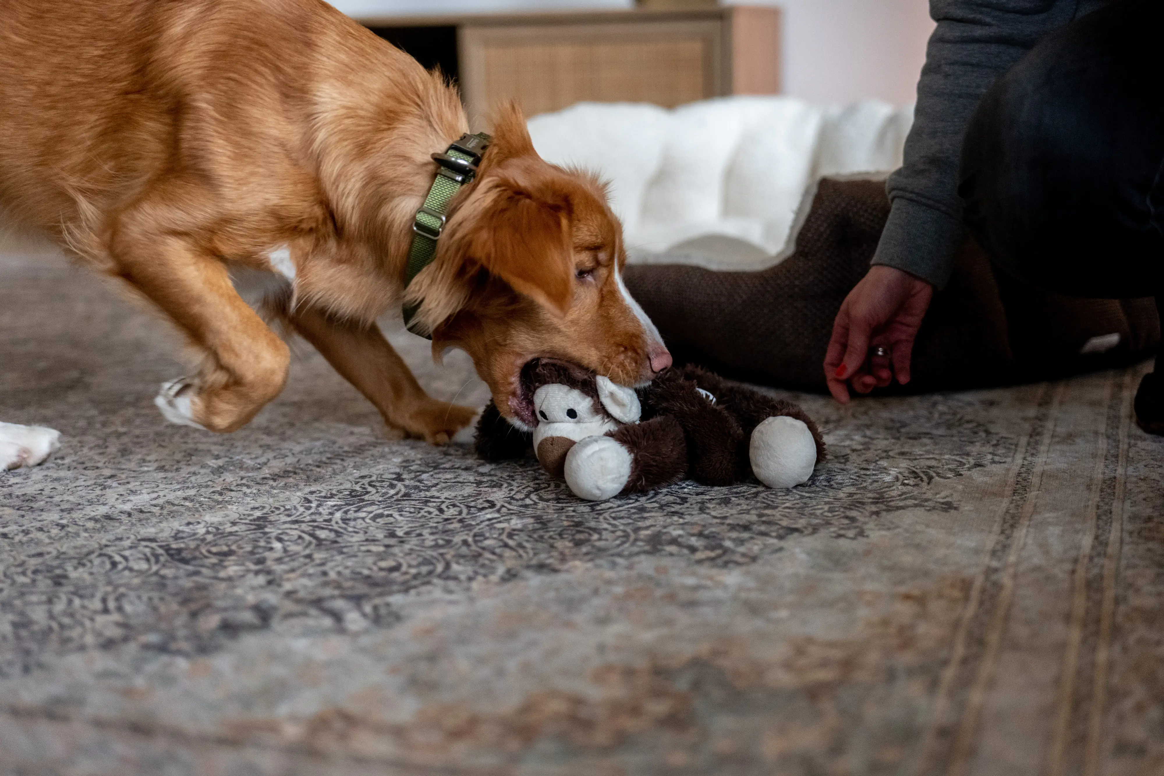 Nobby Hunde Kuscheltier Affe 43 cm