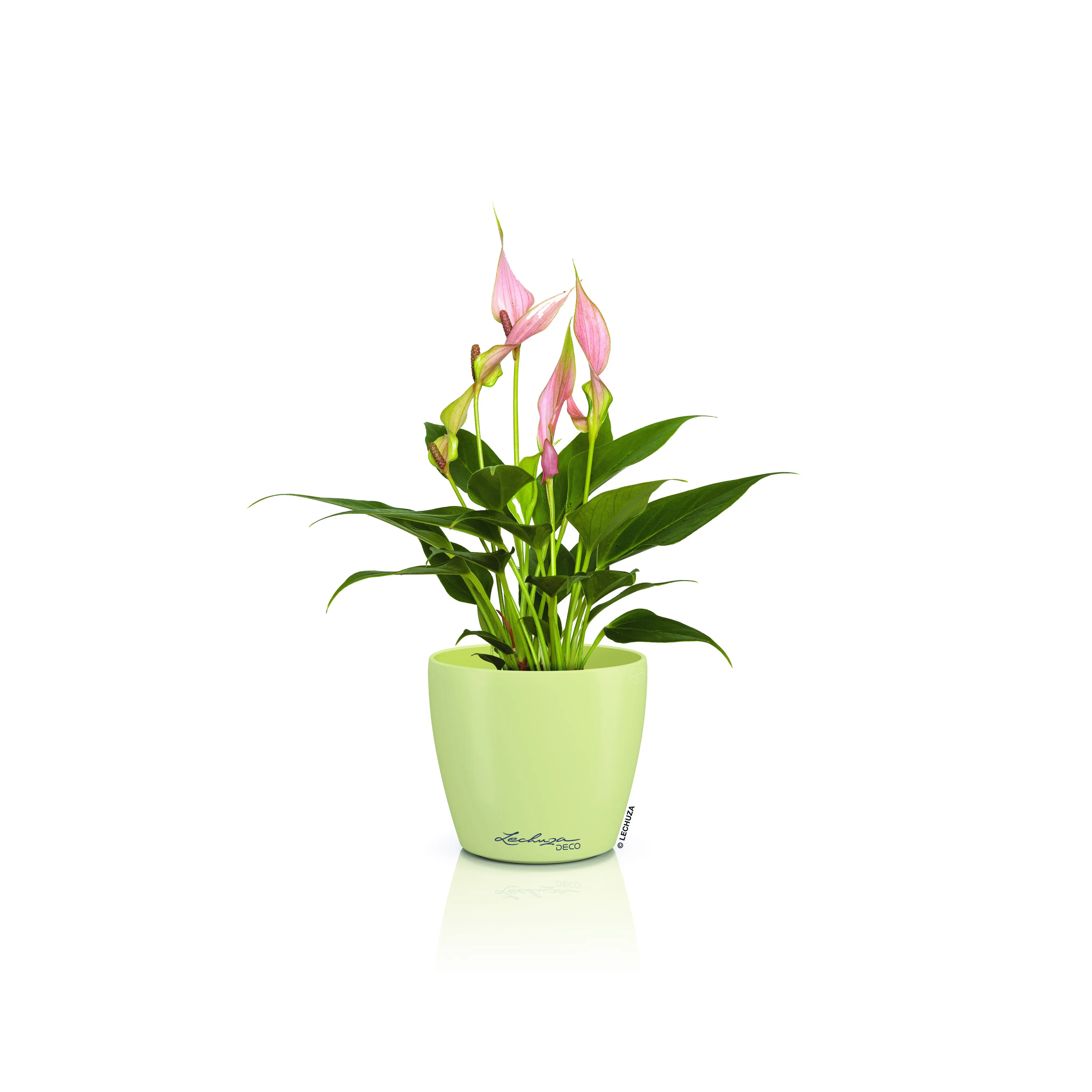 Lechuza Pflanztopf Deco 12 Ø 13,2 x 11,8 cm linde