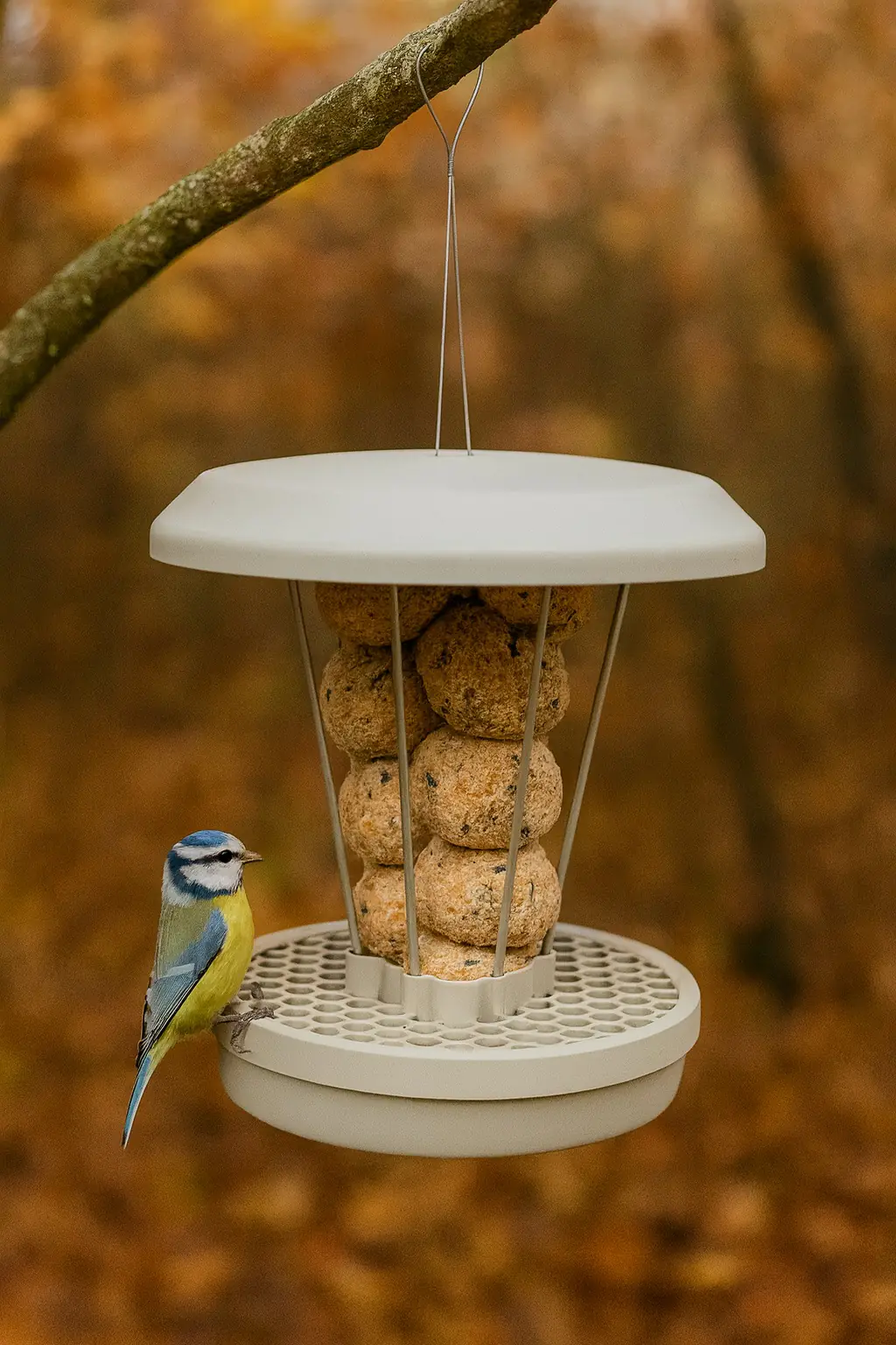Swissinno Vogelfutterhaus Lucerne hellgrau Swissinno Vogelfutterhaus Lucerne hellgrau