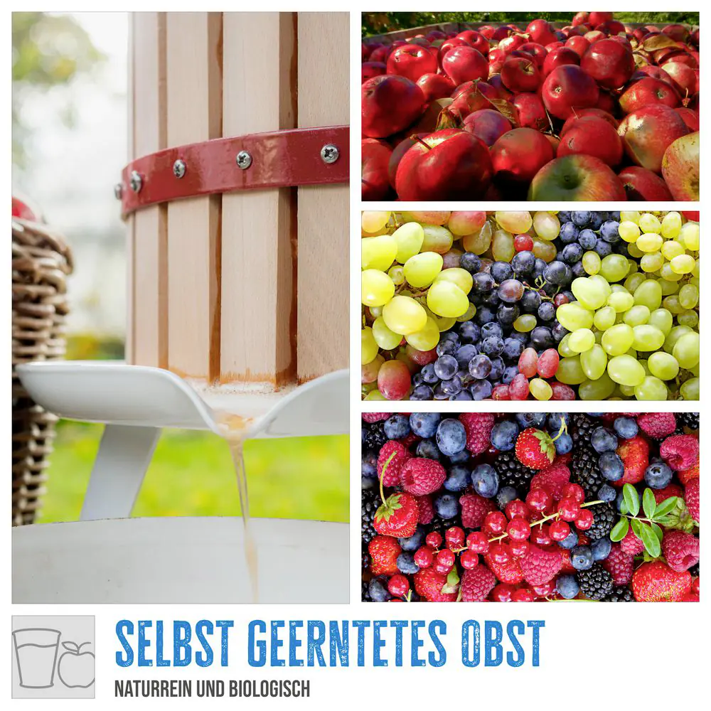 Güde Obst & Beerenpresse OP18 Güde Obst & Beerenpresse OP18