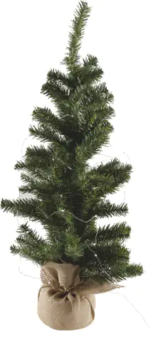 TrendLine LED-Lichterkette Mini Außen 7,9 m kaltweiß mit Timer, 8 Lichteffekten TrendLine LED-Lichterkette Mini Außen 7,9 m kaltweiß mit Timer, 8 Lichteffekten