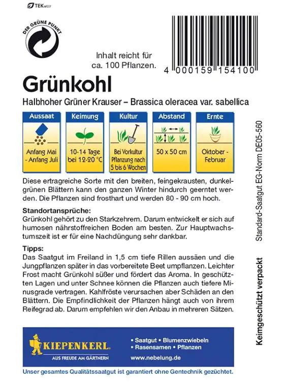 Kiepenkerl Grünkohl Halbhoher grüner Krauser Brassica oleracea var. sabellica, Inhalt: ca. 100 Pflan