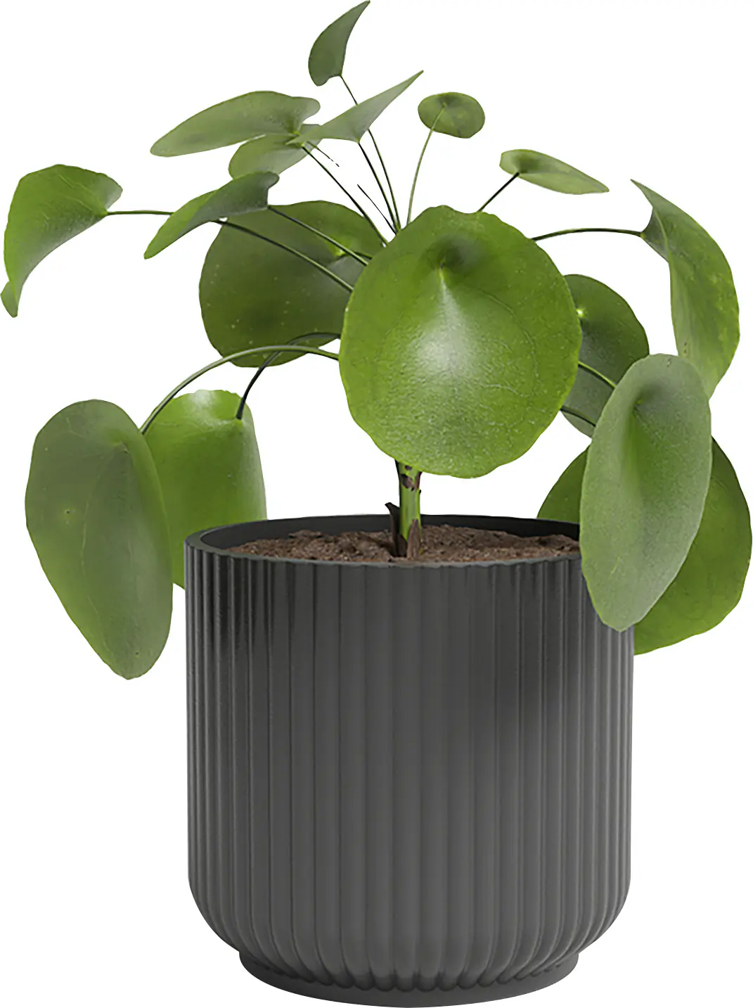 Artevasi Übertopf Luna Keramik anthrazit matt Ø 19 x 17 cm 