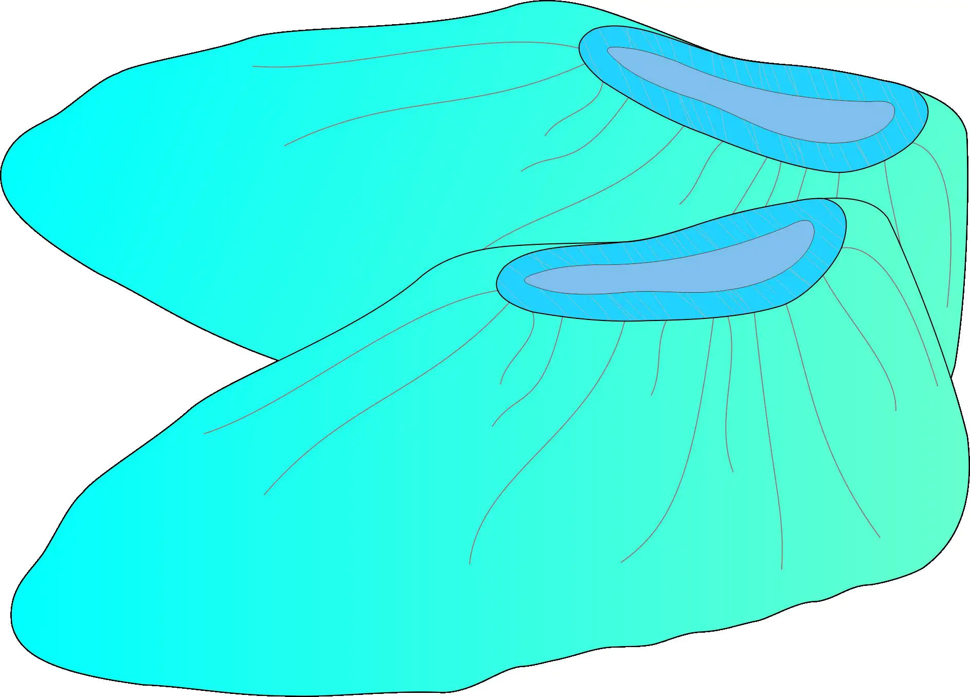 4004722626308 Füsslinge 20 Stück Universalgröße