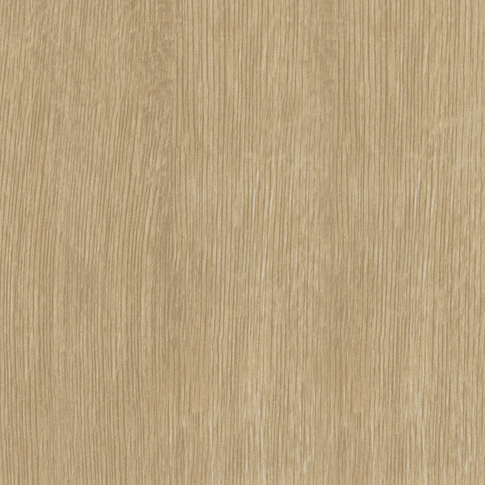 Neuhofer Fußleiste 240 cm 38,5 x 15 mm Eiche nova infinity