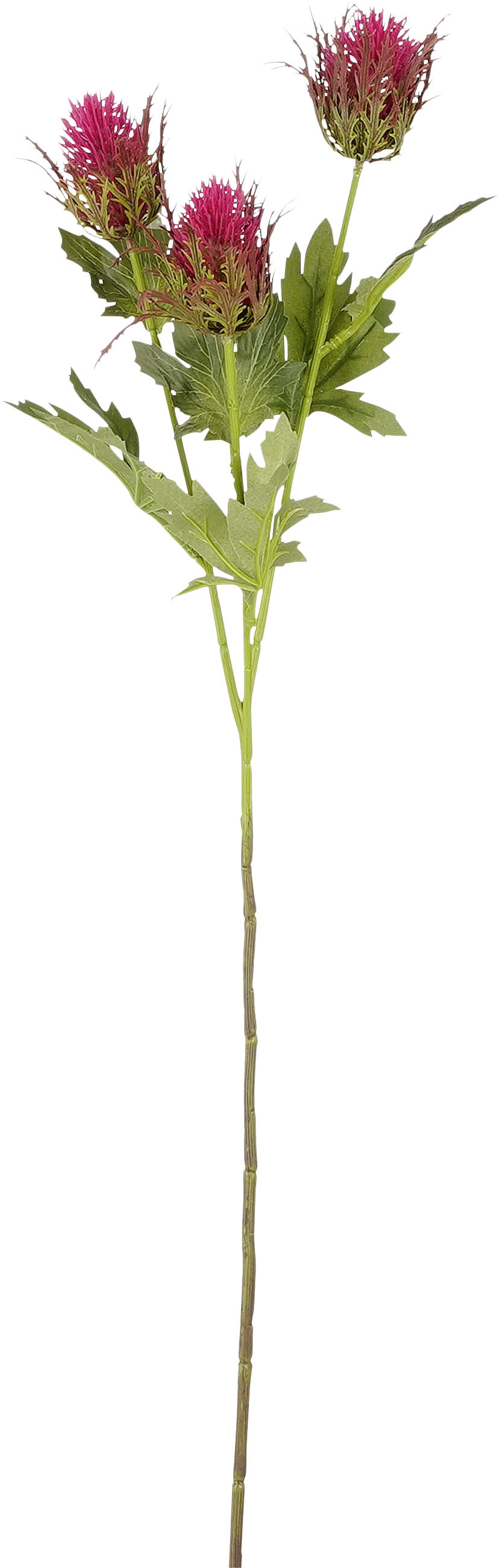 Mica Kunstpflanze Distel dunkelrosa Polyester 67 cm