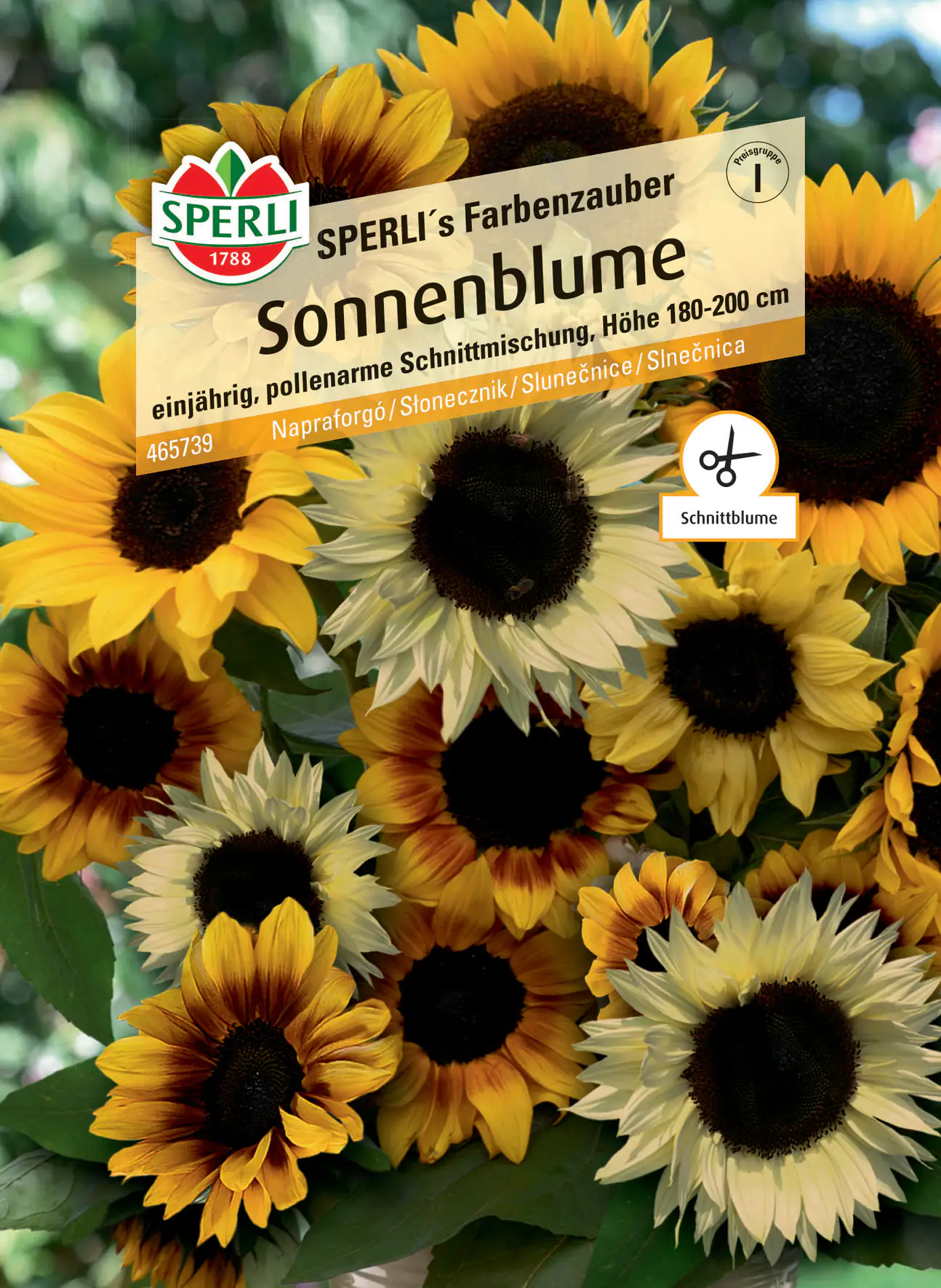 Sperli Sonnenblume Schnittblumen-Mischung F1