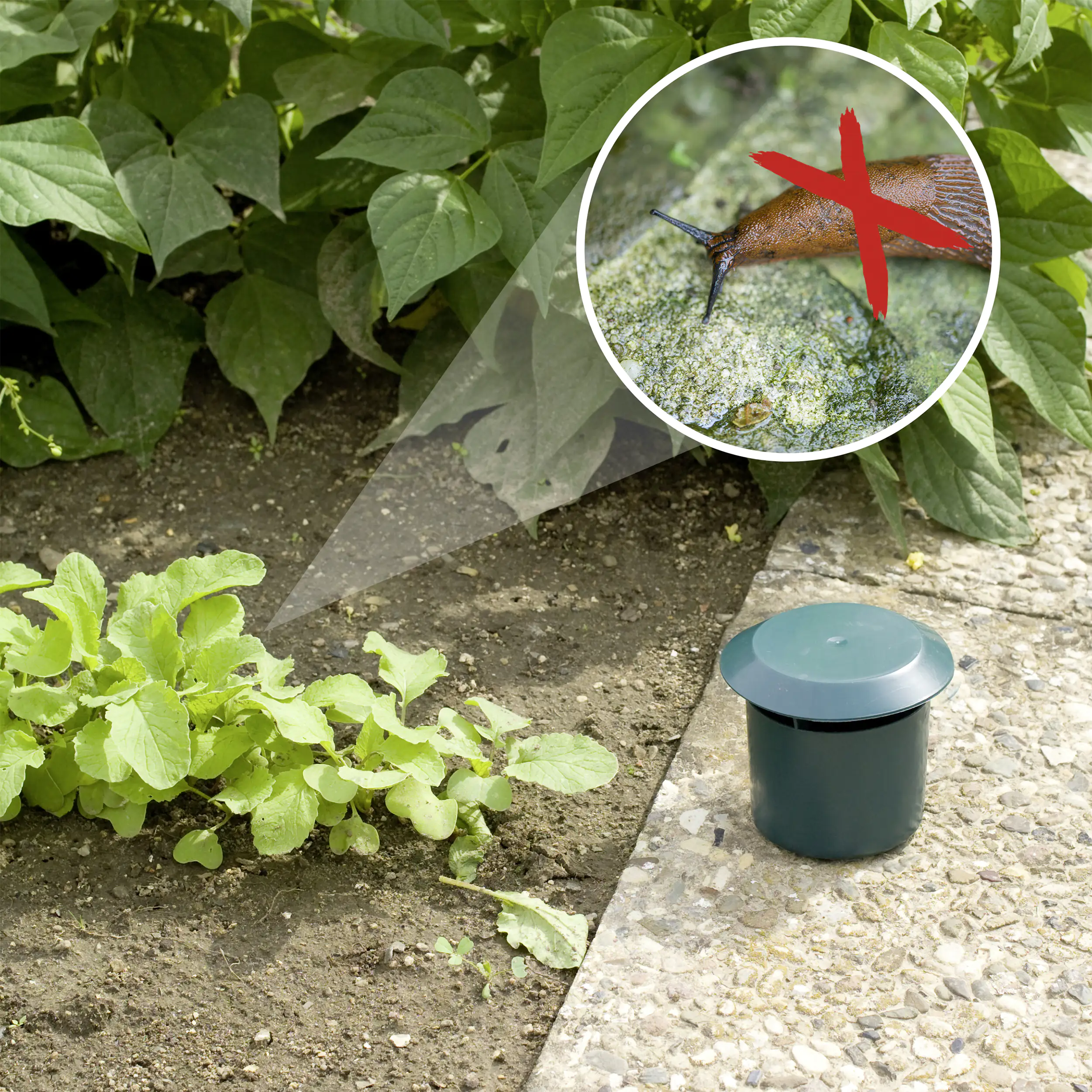 Gardigo Schneckenfalle 2er Set