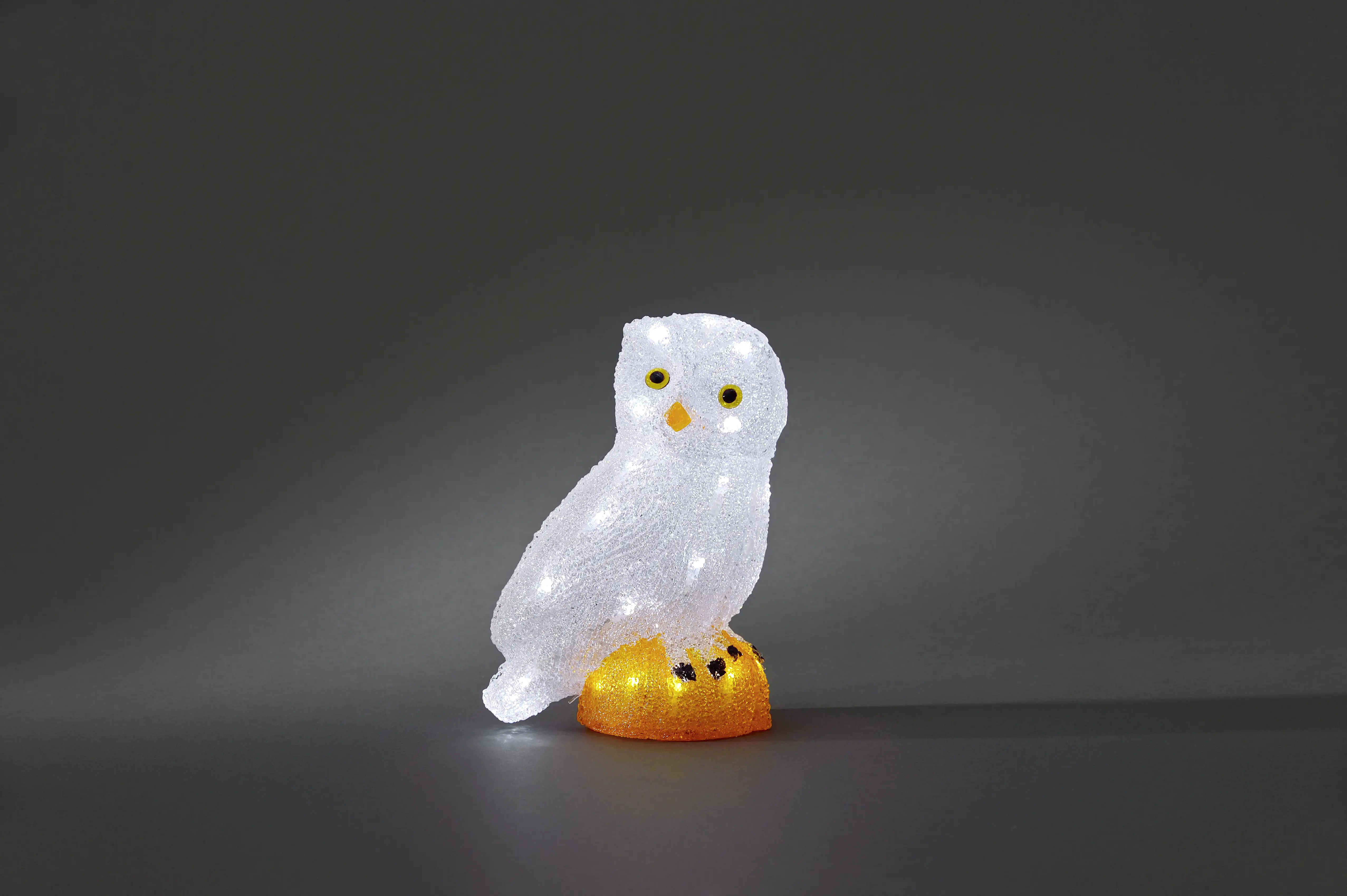 7318301852031 Konstsmide Acryl Eule 19,5 x 27,5 cm