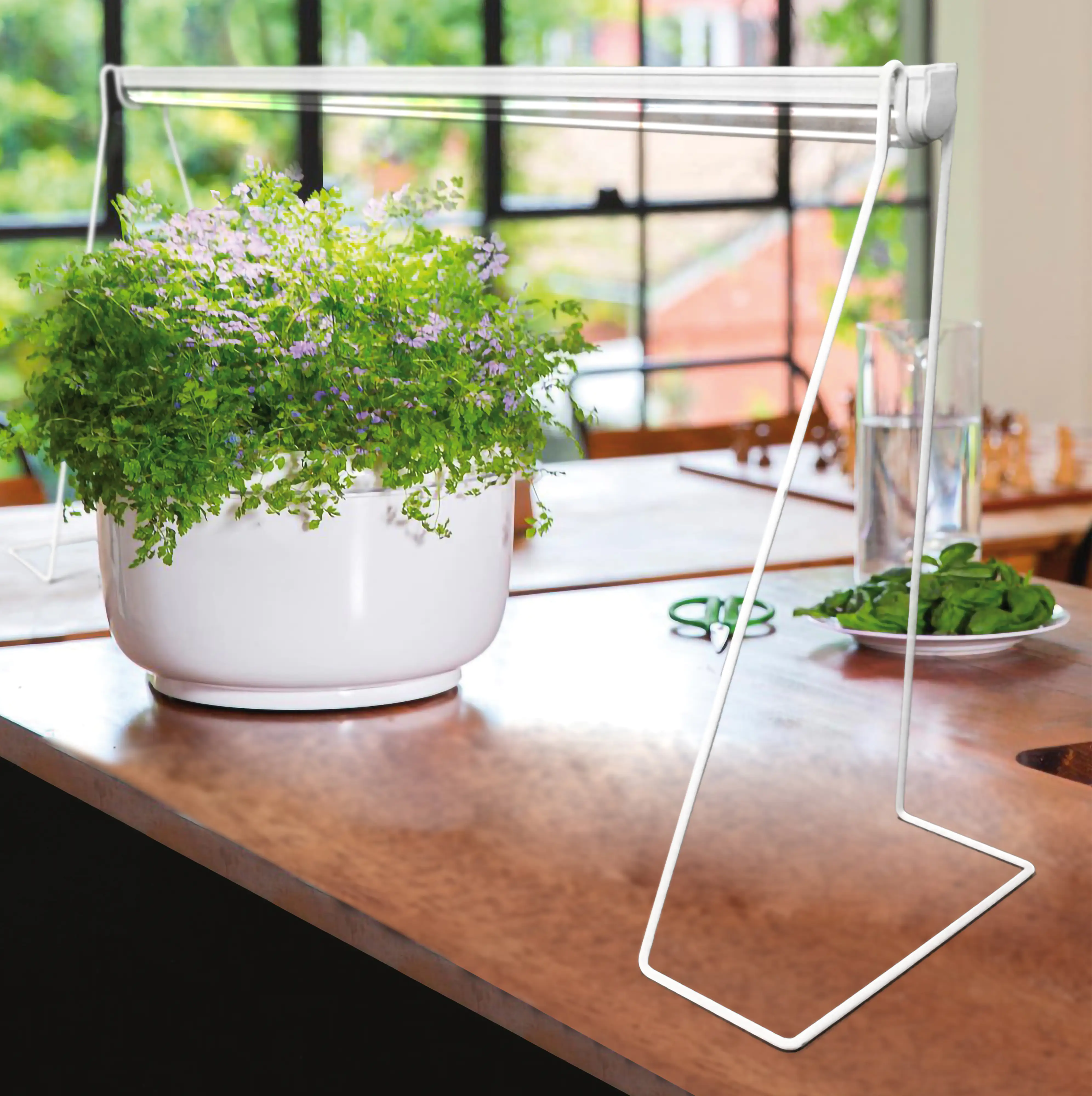 Bio Green Standfuss Florabooster 200 50 x 30 x 10 cm