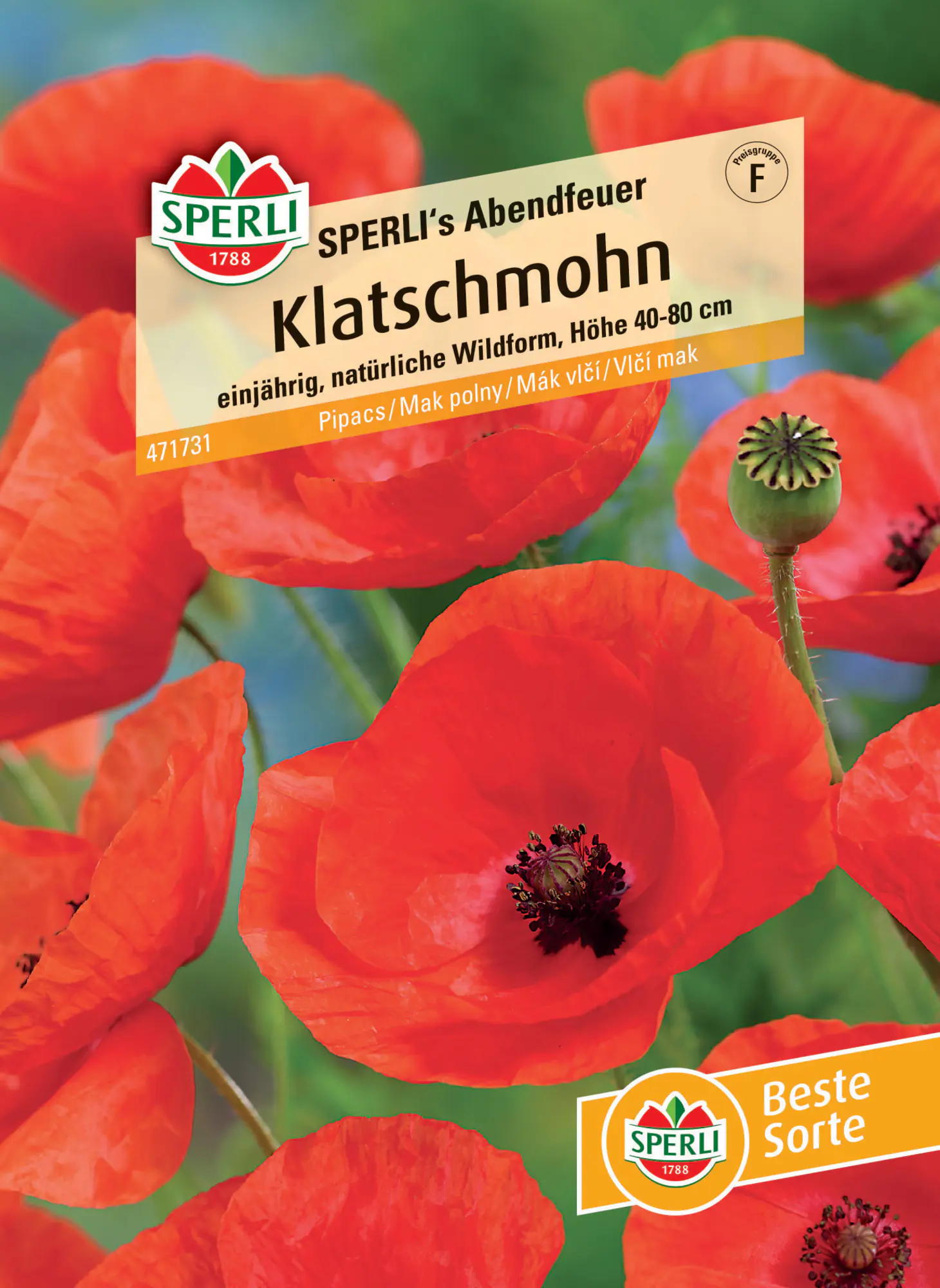Sperli Klatschmohn SPERLI's Abendfeuer