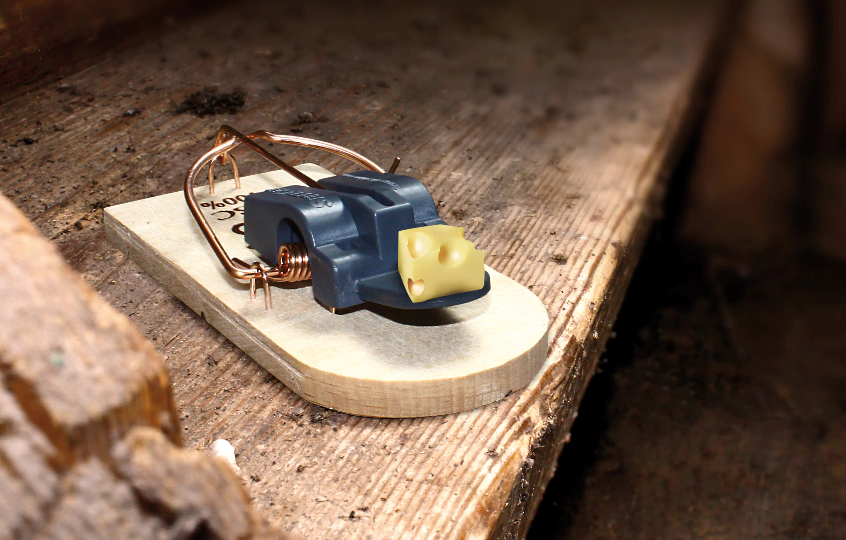 Swissinno SuperCat Holzmausefalle 