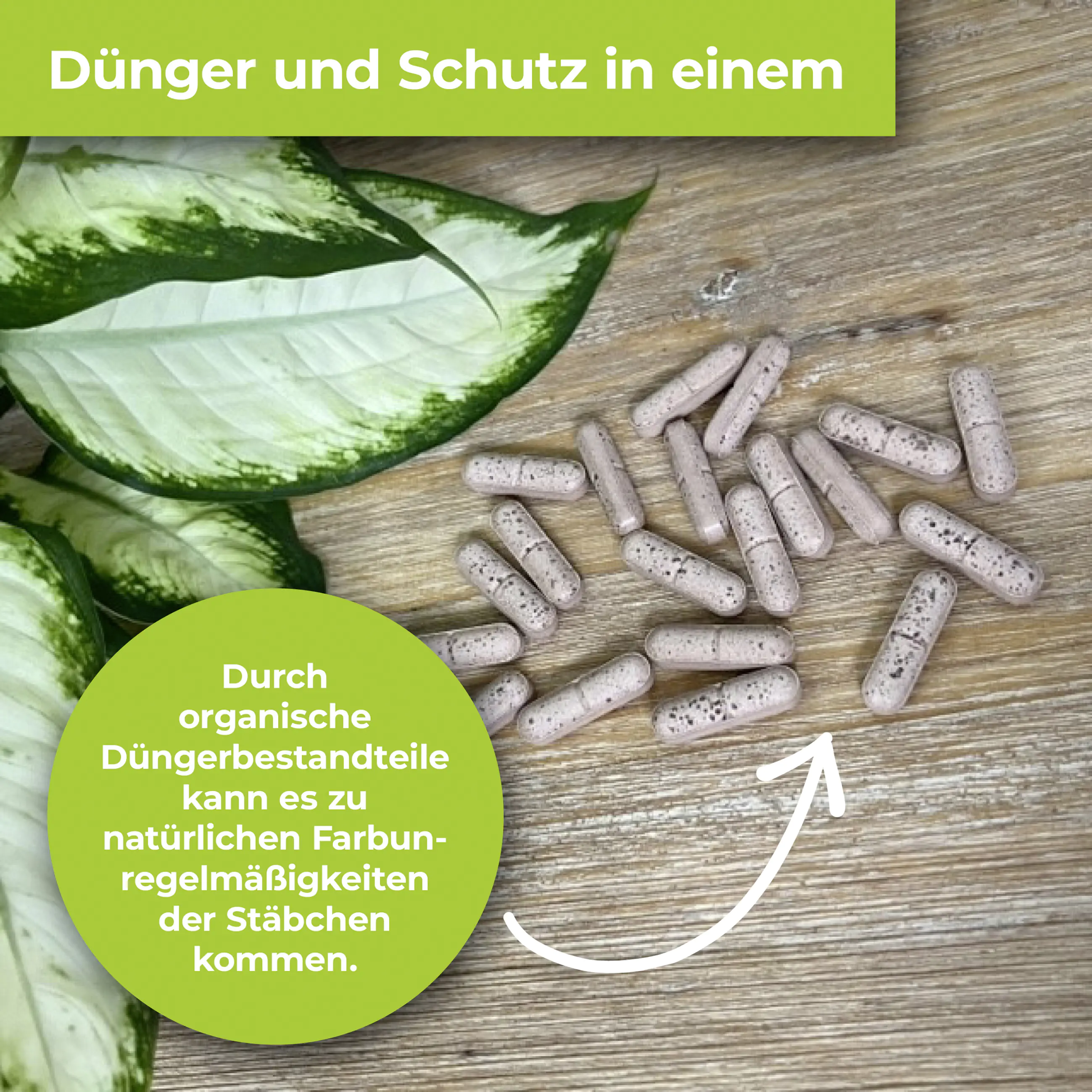 Protect Garden Lizetan Plus Combistäbchen 20 Stück Protect Garden Lizetan Plus Combistäbchen 20 Stück