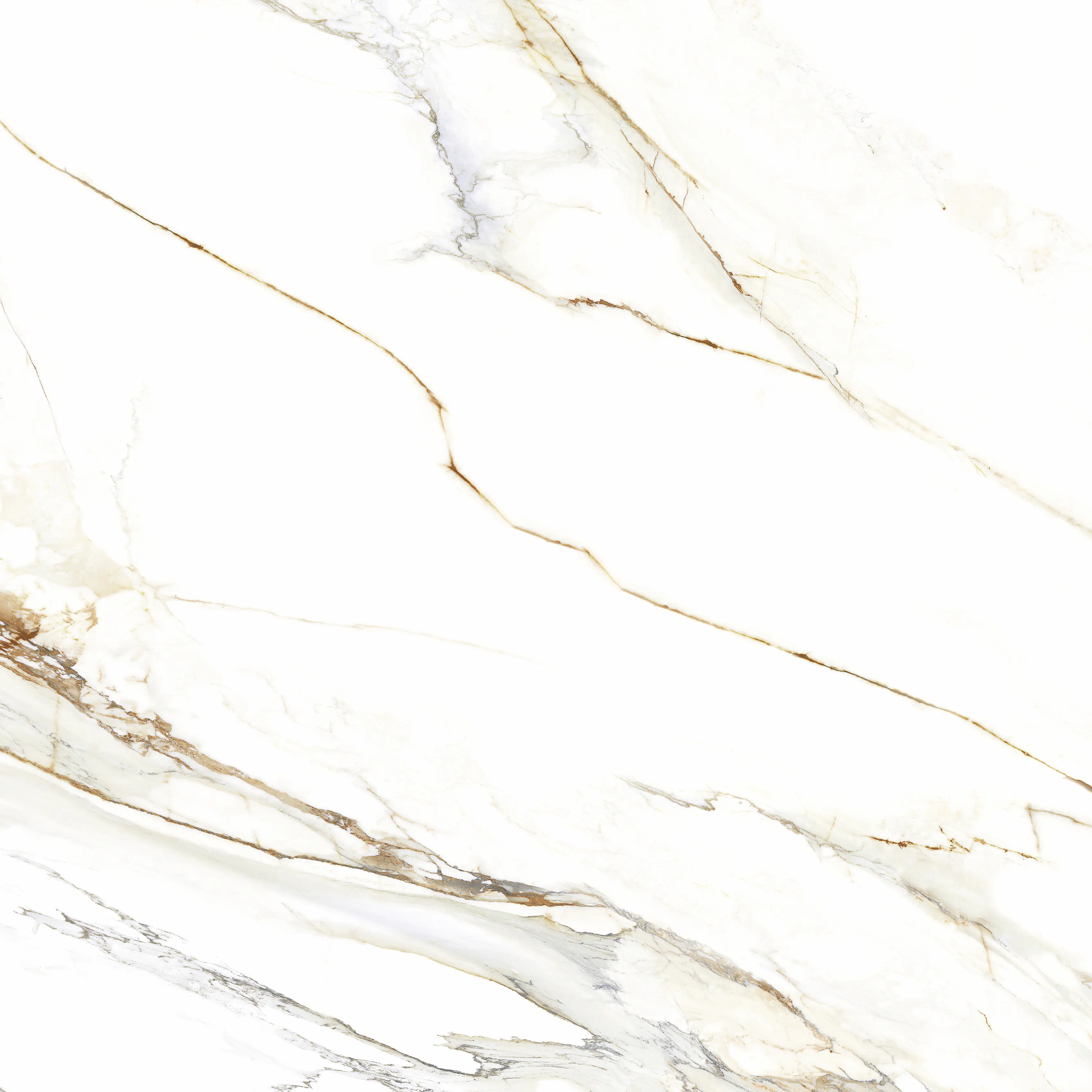 Bodenfliese Feinsteinzeug Venetion Gold 120 x 120 cm weiß