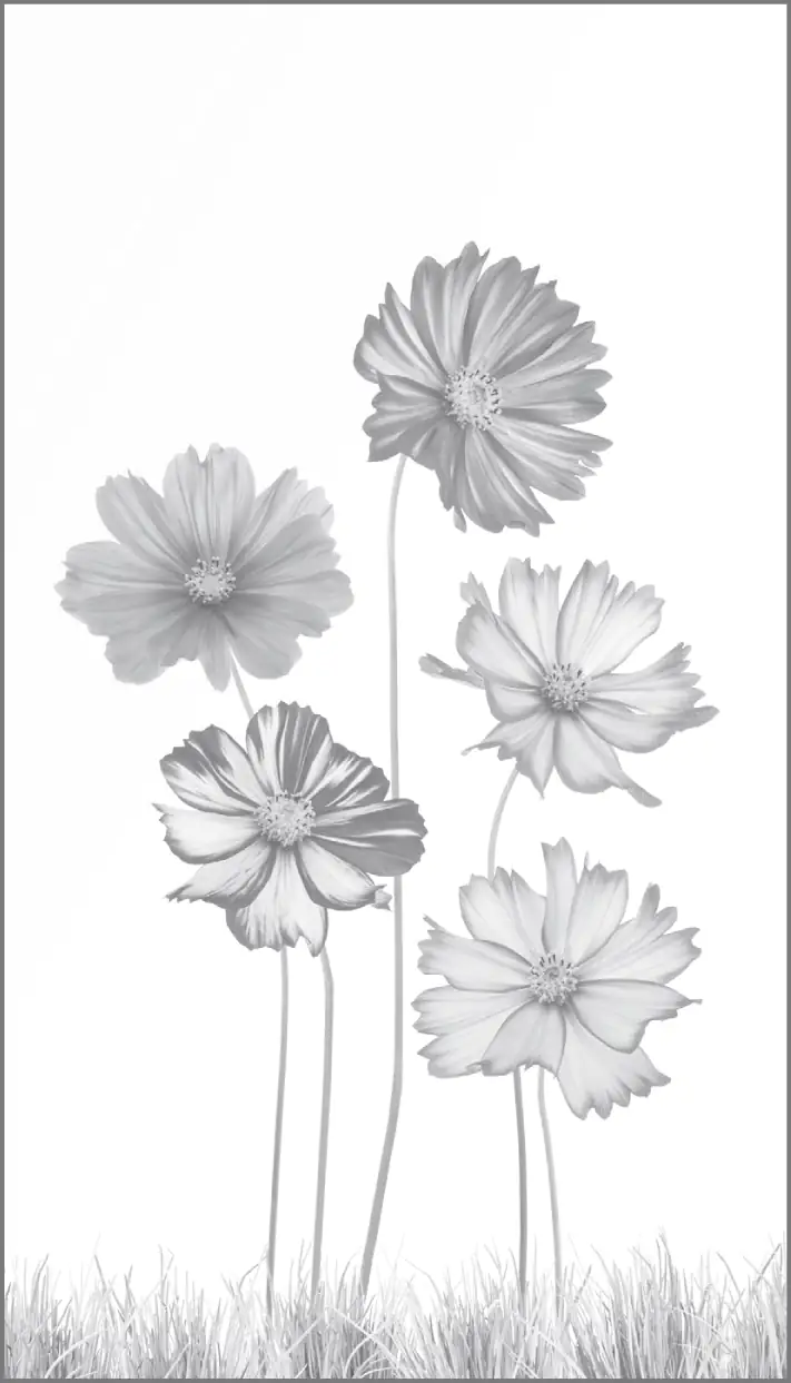 Ambiente Glaszaun Dekor 93 103 x 180 cm gehärtetes 8 mm Glas