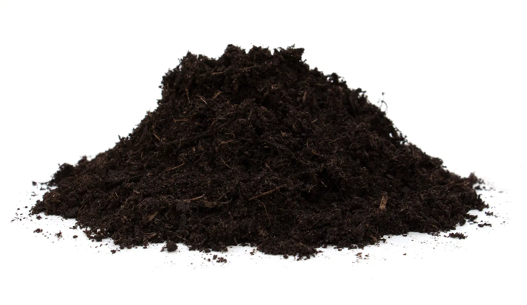 4006398410144_2 Floragard Bio Universalerde Vielseitig torffrei