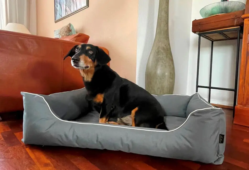 Lebon Hundebett Paula eckig grau Lebon Hundebett Paula eckig grau