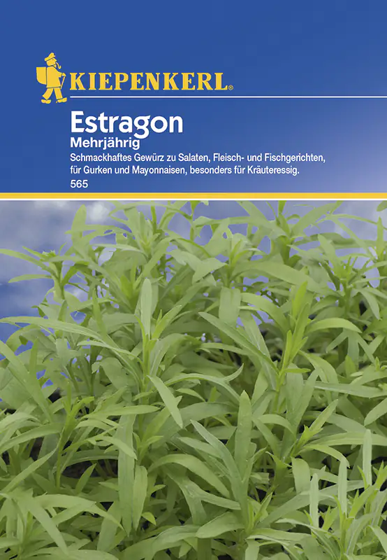 4000159155657 Kiepenkerl Estragon Estragon mehrjährig Pisum sativum, Inhalt: ca. 200 Pflanzen