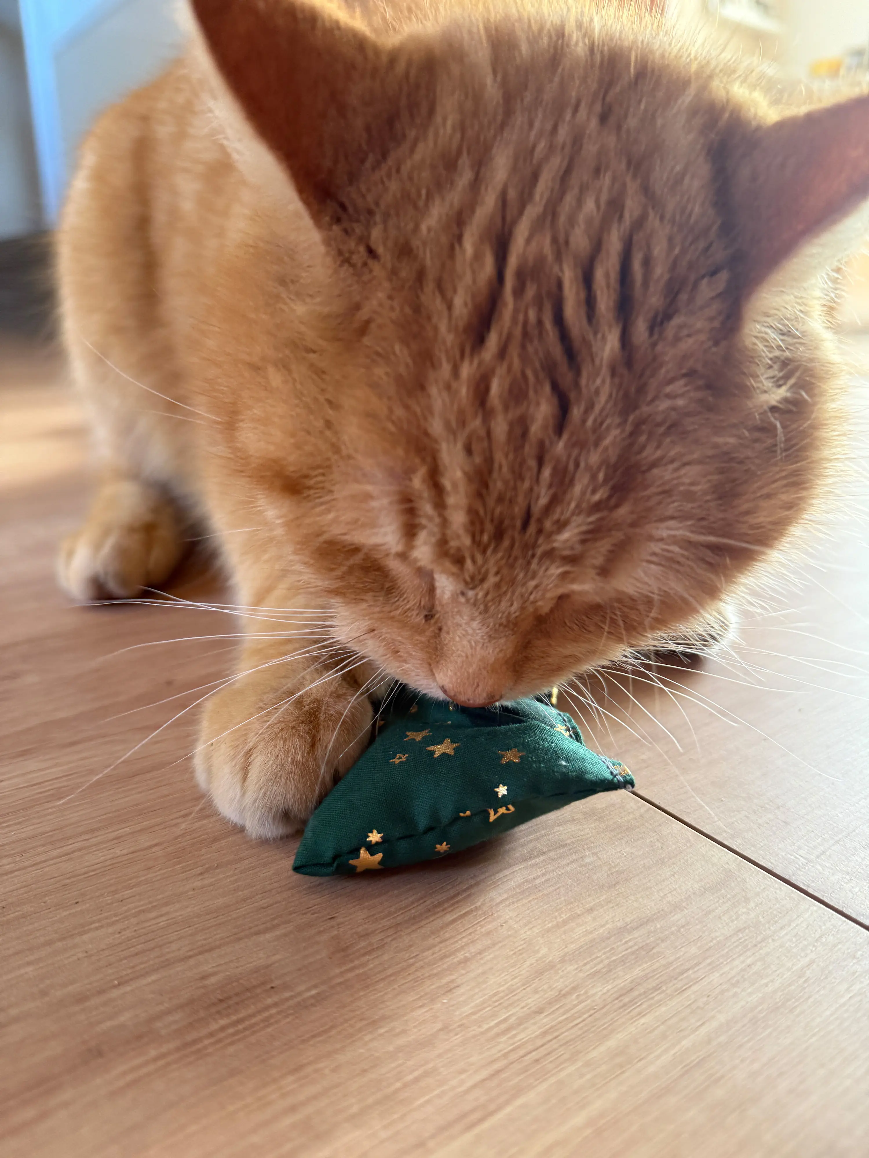 Aumüller Katzenspielzeug Weihnachten Kissen 10 cm grün gold - 2 Stk. Aumüller Katzenspielzeug Weihnachten Kissen 10 cm grün gold - 2 Stk.