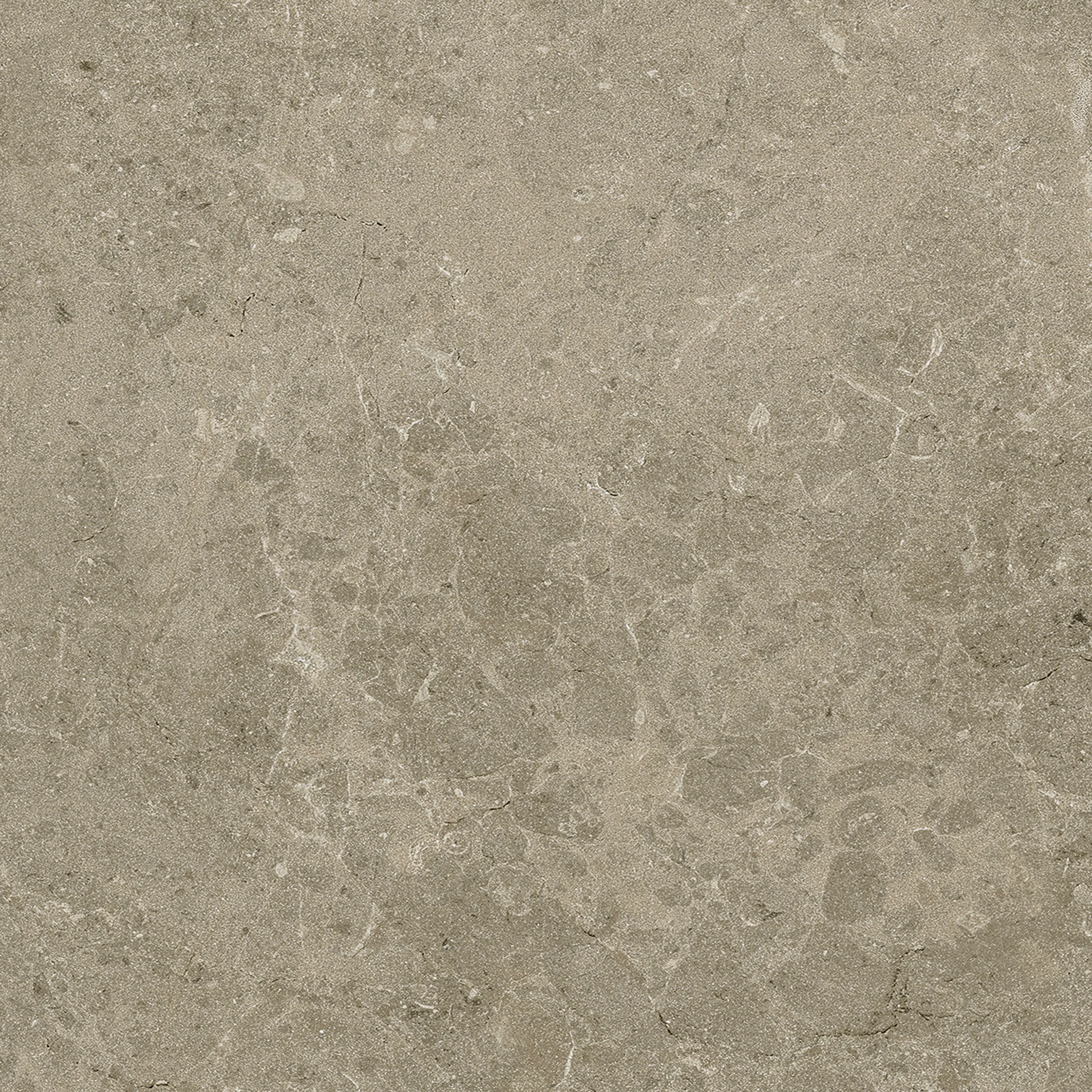 Terrassenplatte Botticino 60 x 60 cm Taupe