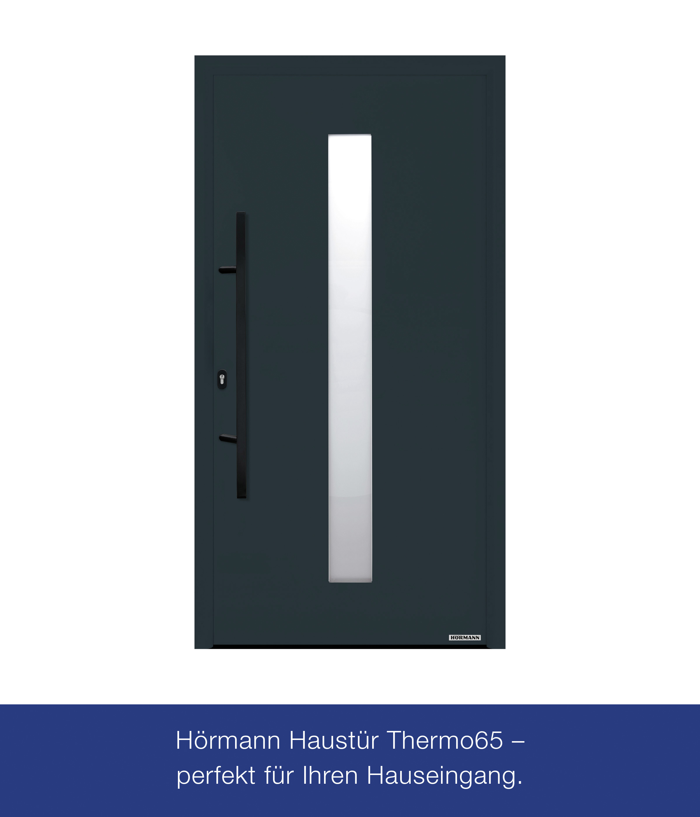 Hörmann Haustür Thermo65 Motiv 610S anthrazitgrau Links 110 x 210 cm