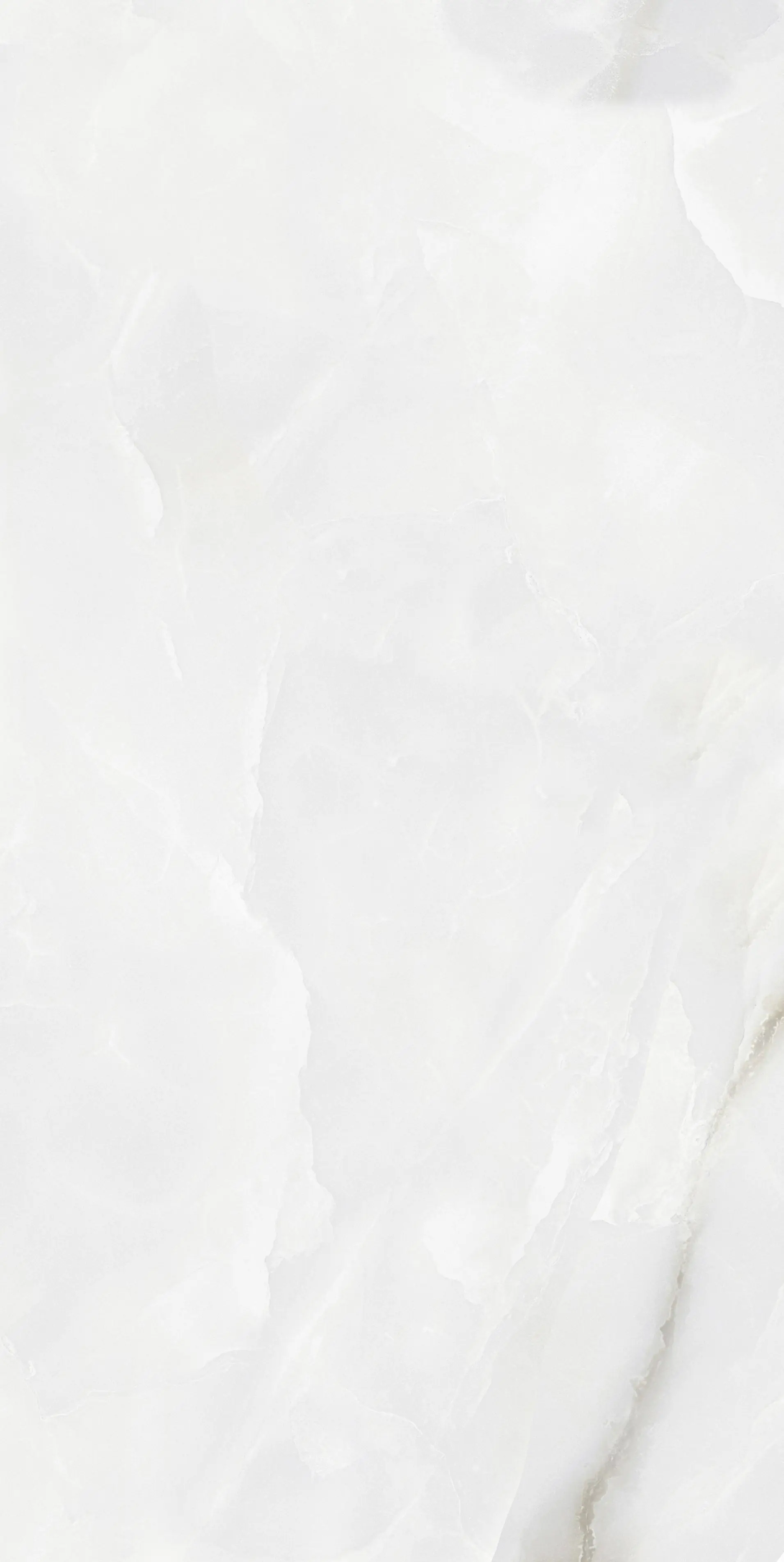 Bodenfliese Feinsteinzeug Bianco Christal 60 x 120 cm weiß