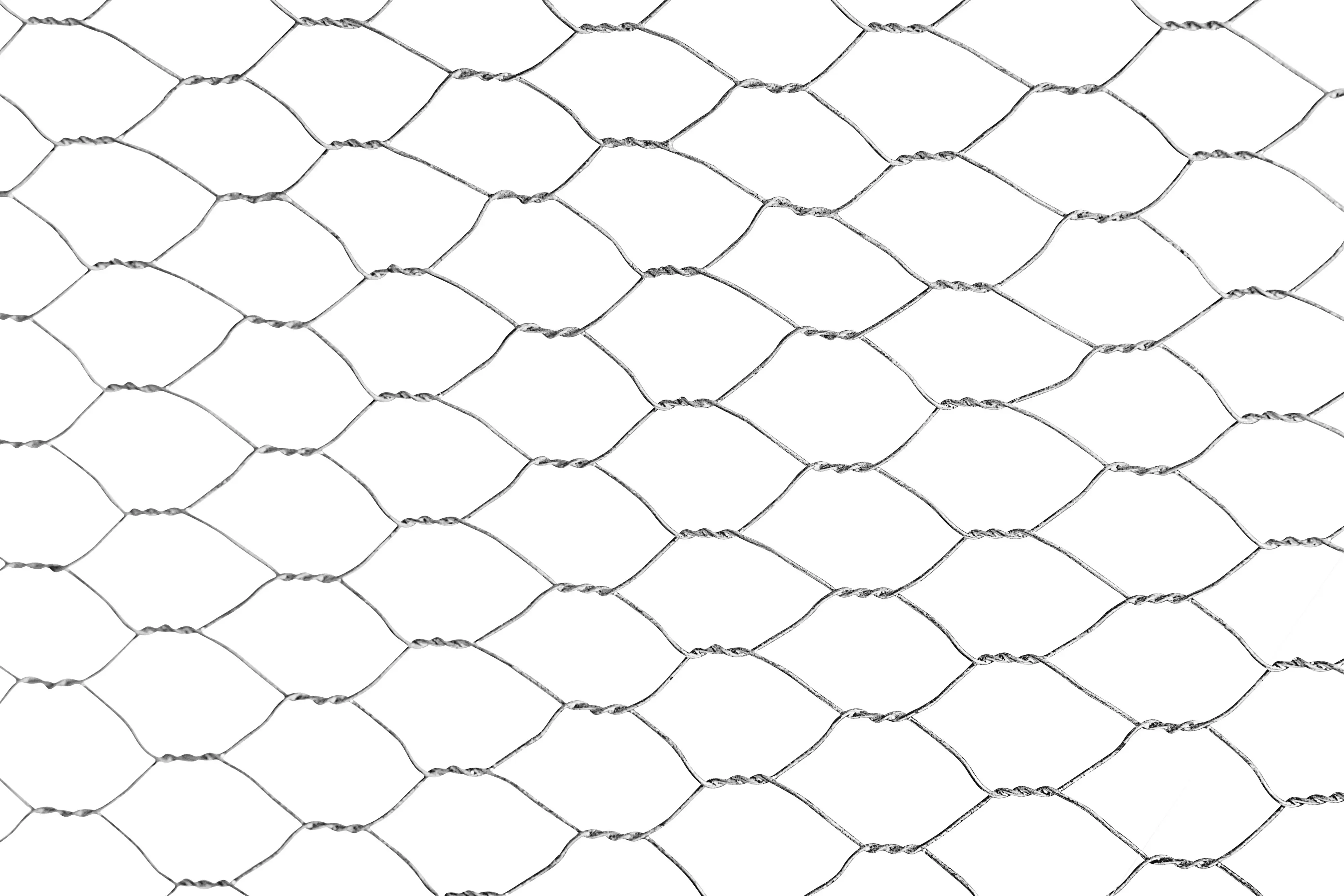 Floraworld Maschendraht-Zaun 2,5 m x 50 cm 25 mm Maschenweite verzinkt