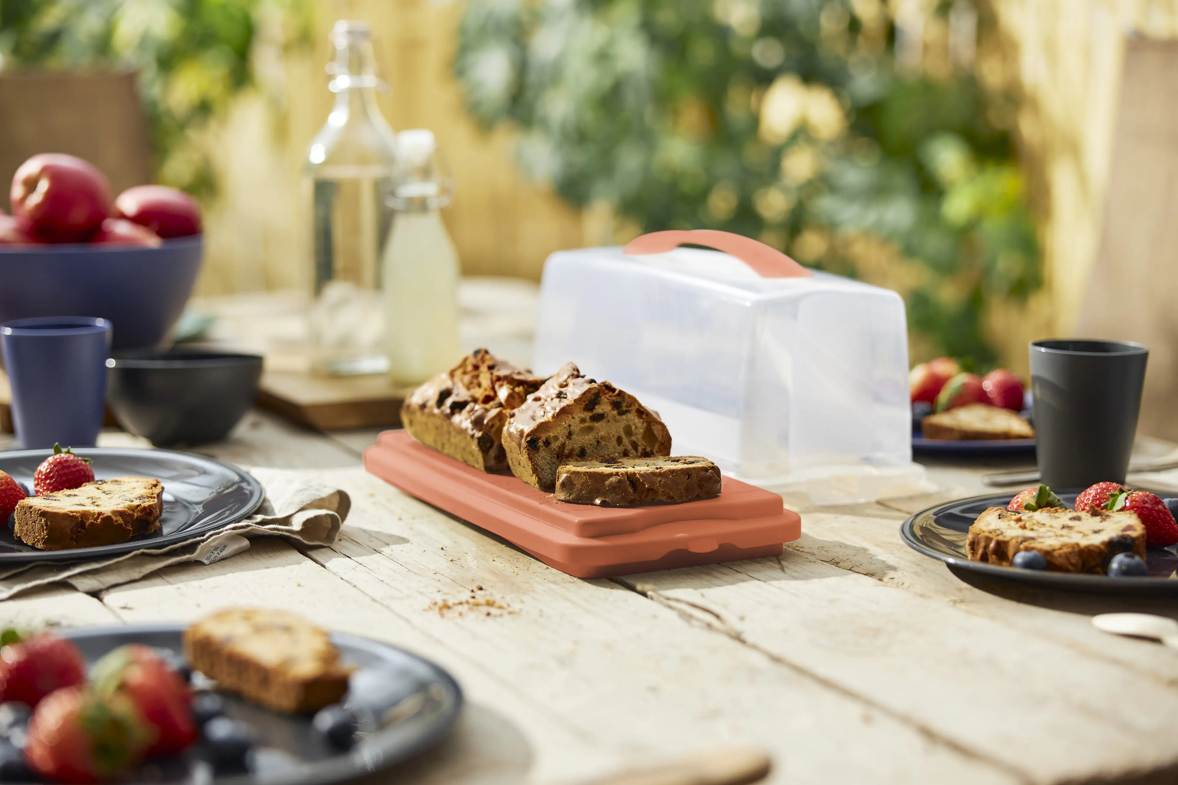 Rotho Kuchenbehälter Fresh 36 x 17 cm koralle