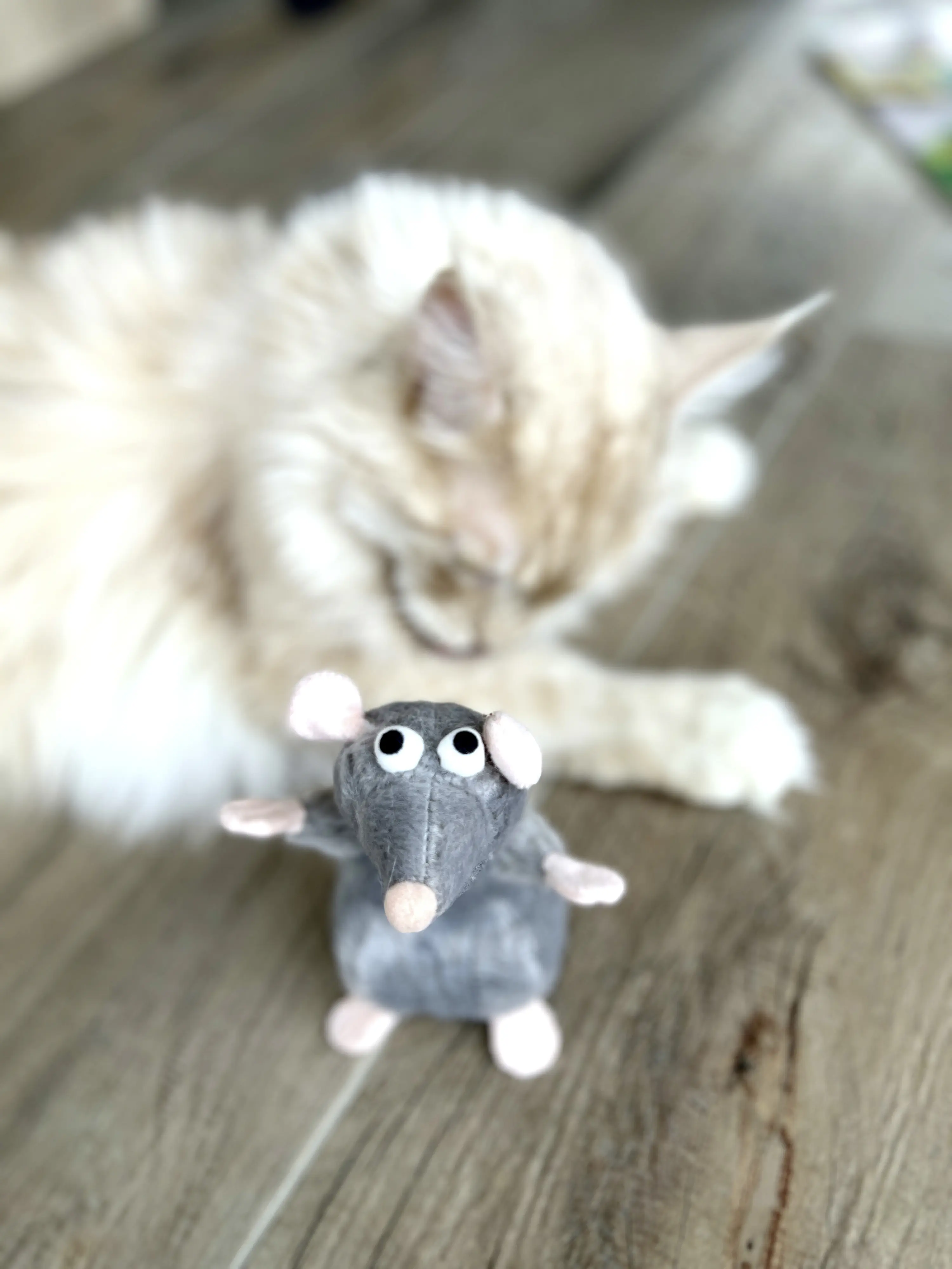 Aumüller Katzenkissen Ratte Cedric grau mit Füllung 13 x 6 x 5 cm