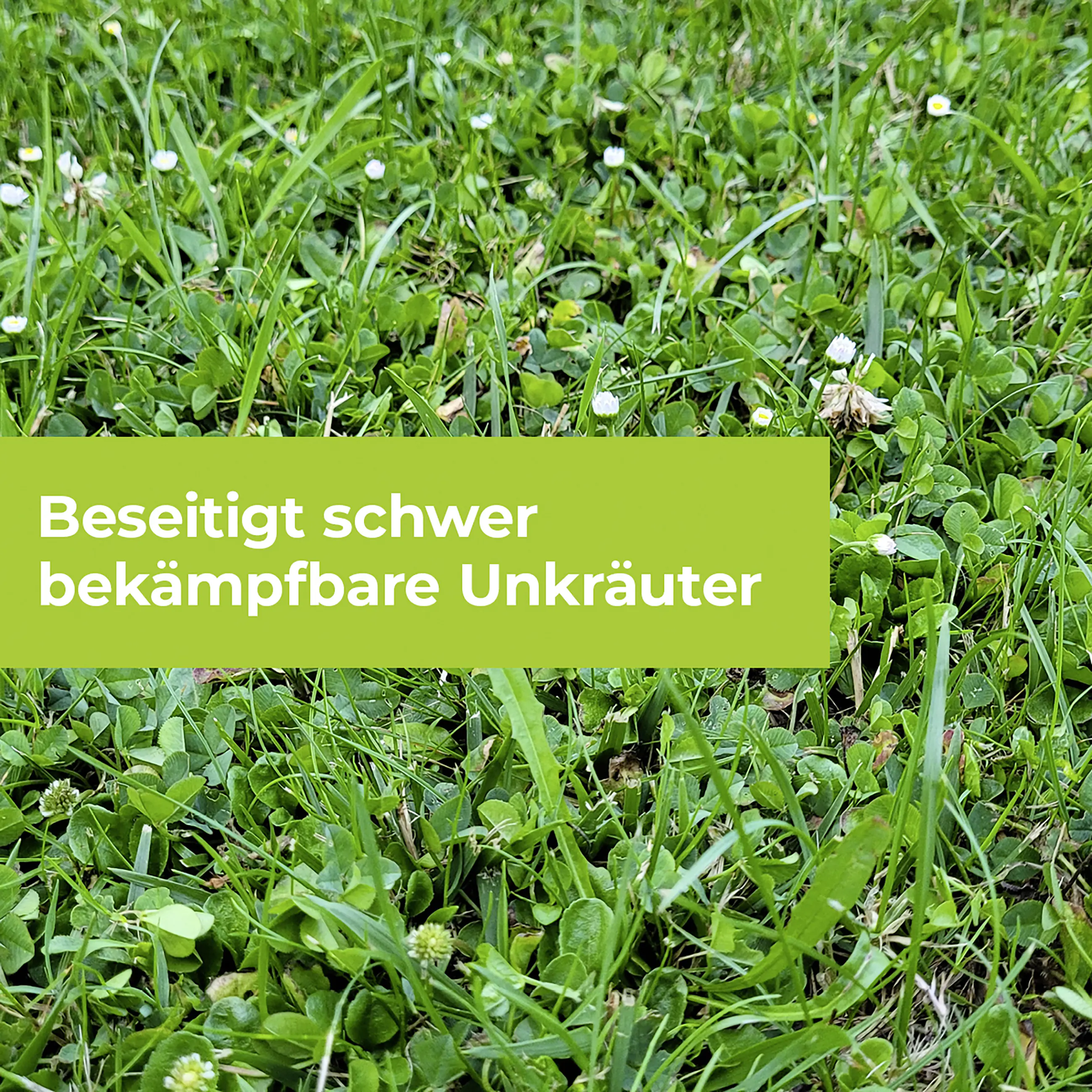 Protect Garden Loredo Quattro Universal Rasenunkrautfrei 100 ml Protect Garden Loredo Quattro Universal Rasenunkrautfrei 100 ml