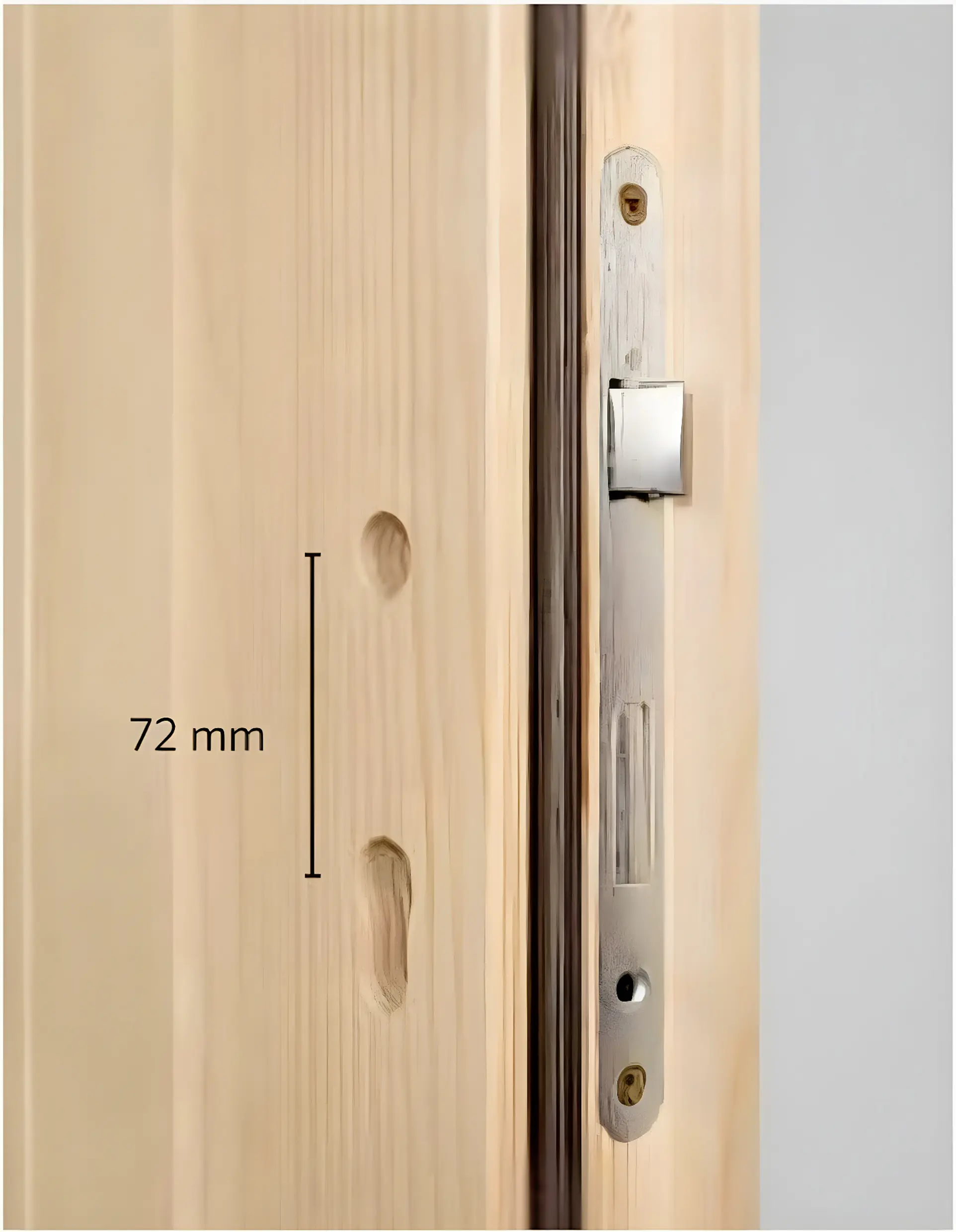 Panto Nebeneingangstür Holz 501 98 x 198 cm DIN Links
