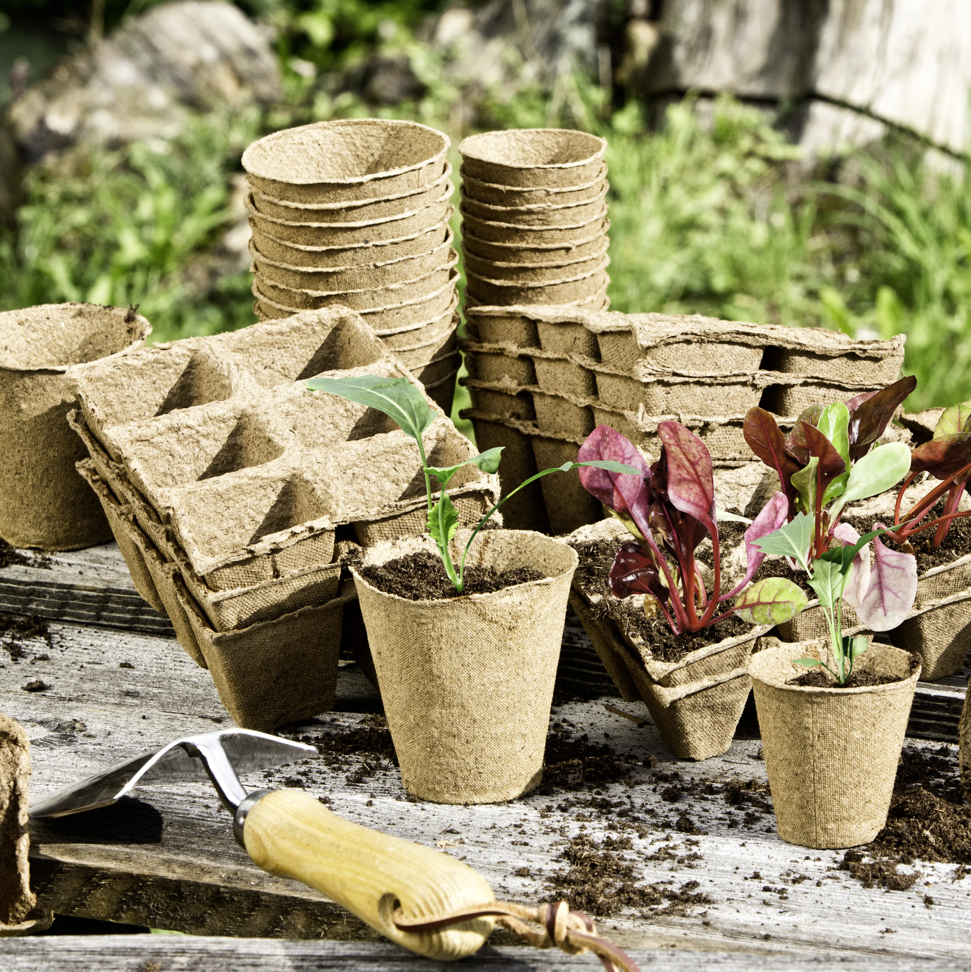 Windhager Anzucht-Töpfe 4 cm eckig