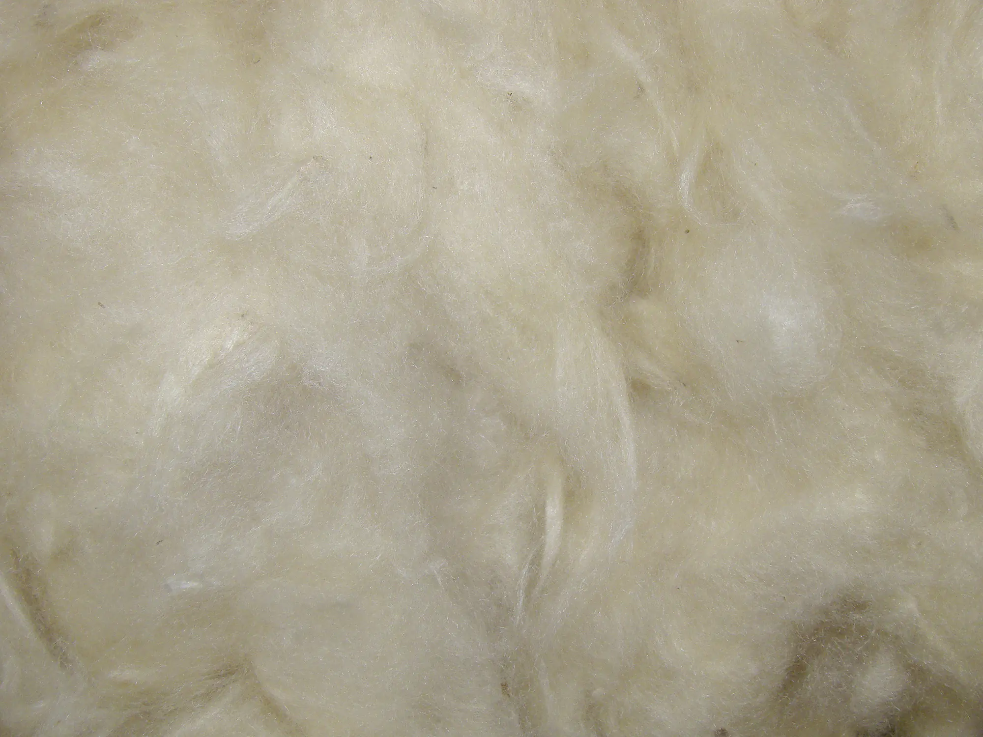 Nobby Kapokwolle 50 g