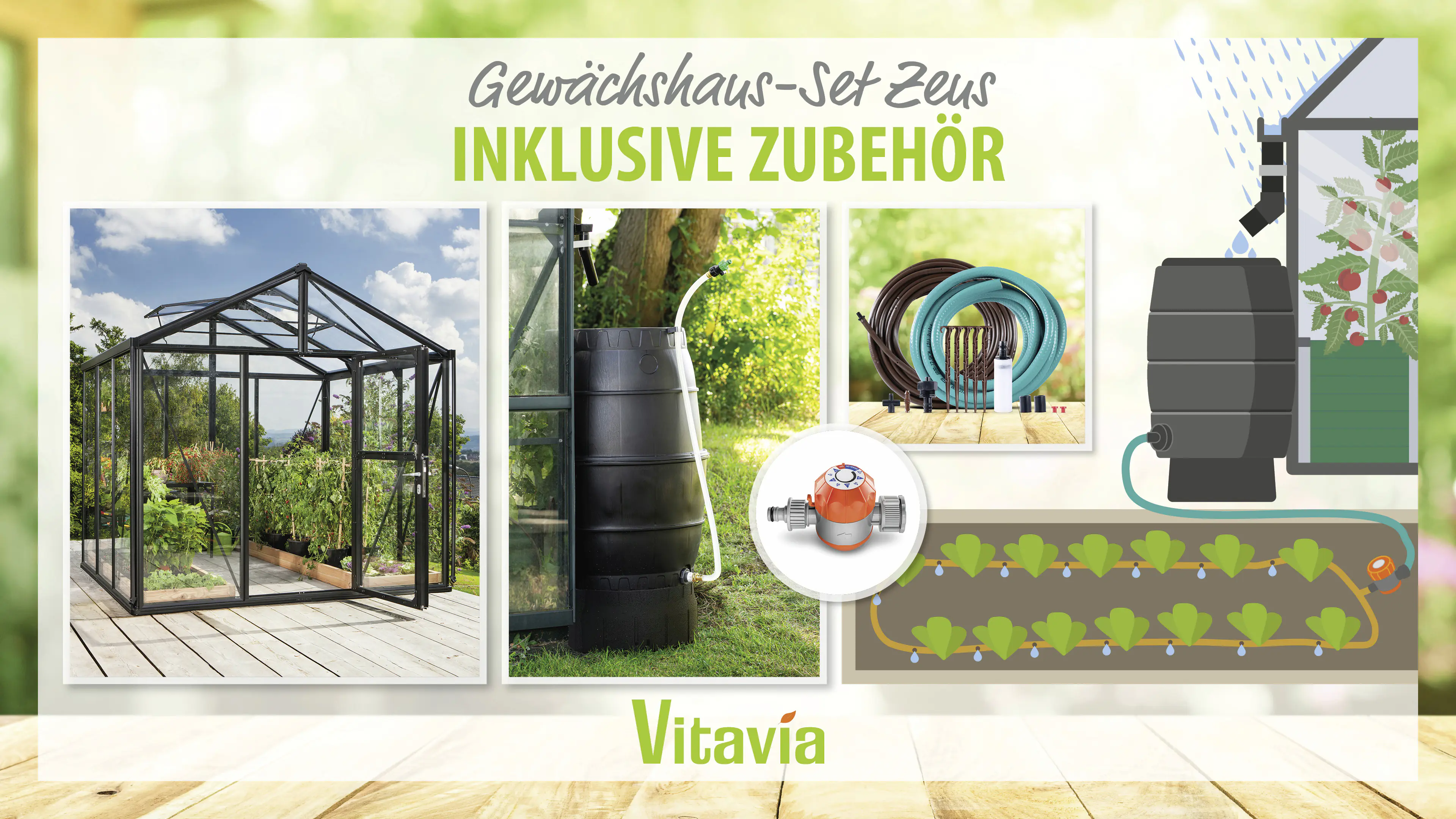 Vitavia Gewächshaus-Set Zeus 6200 ESG/HKP schwarz 266 x 249 cm 