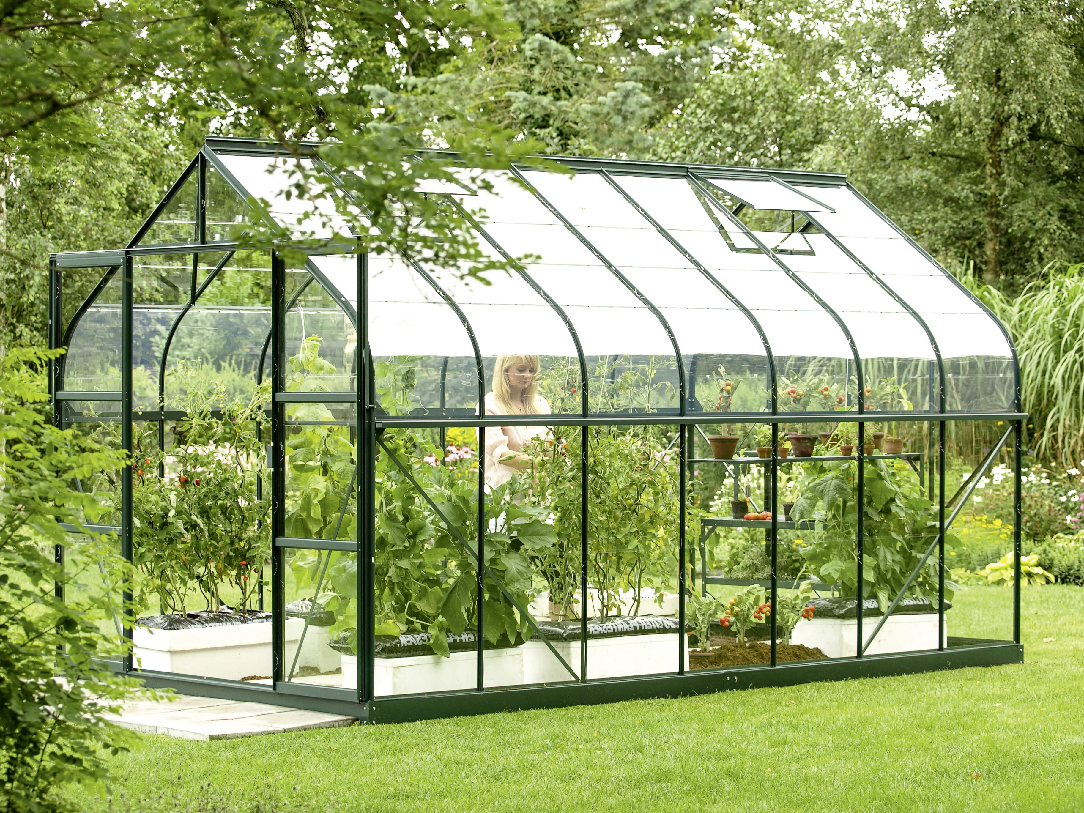 Vitavia Gewächshaus Dione 11500 264 x 445 cm 3 mm Sicherheitsglas Vitavia Gewächshaus Dione 11500 264 x 445 cm 3 mm Sicherheitsglas