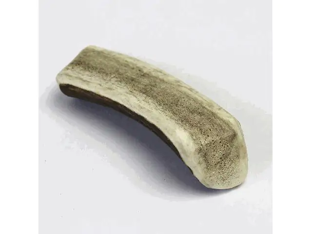 4038374160200 Larsson Geweih Half-Chew I