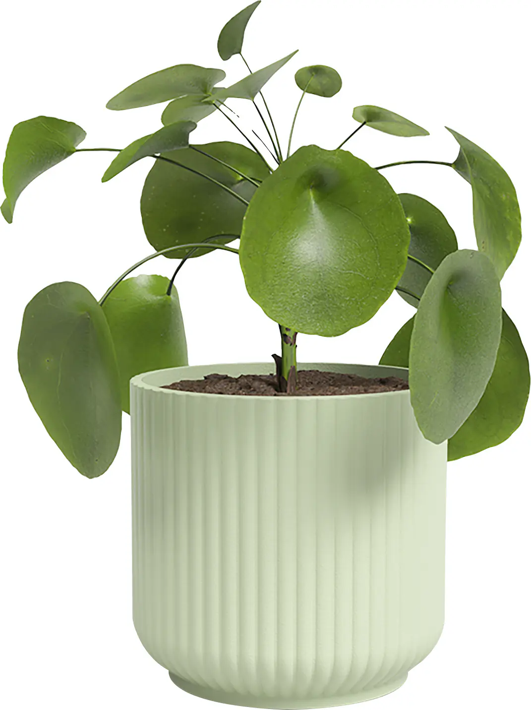 Artevasi Übertopf Luna Keramik hellgrün matt Ø 19 x 17 cm 