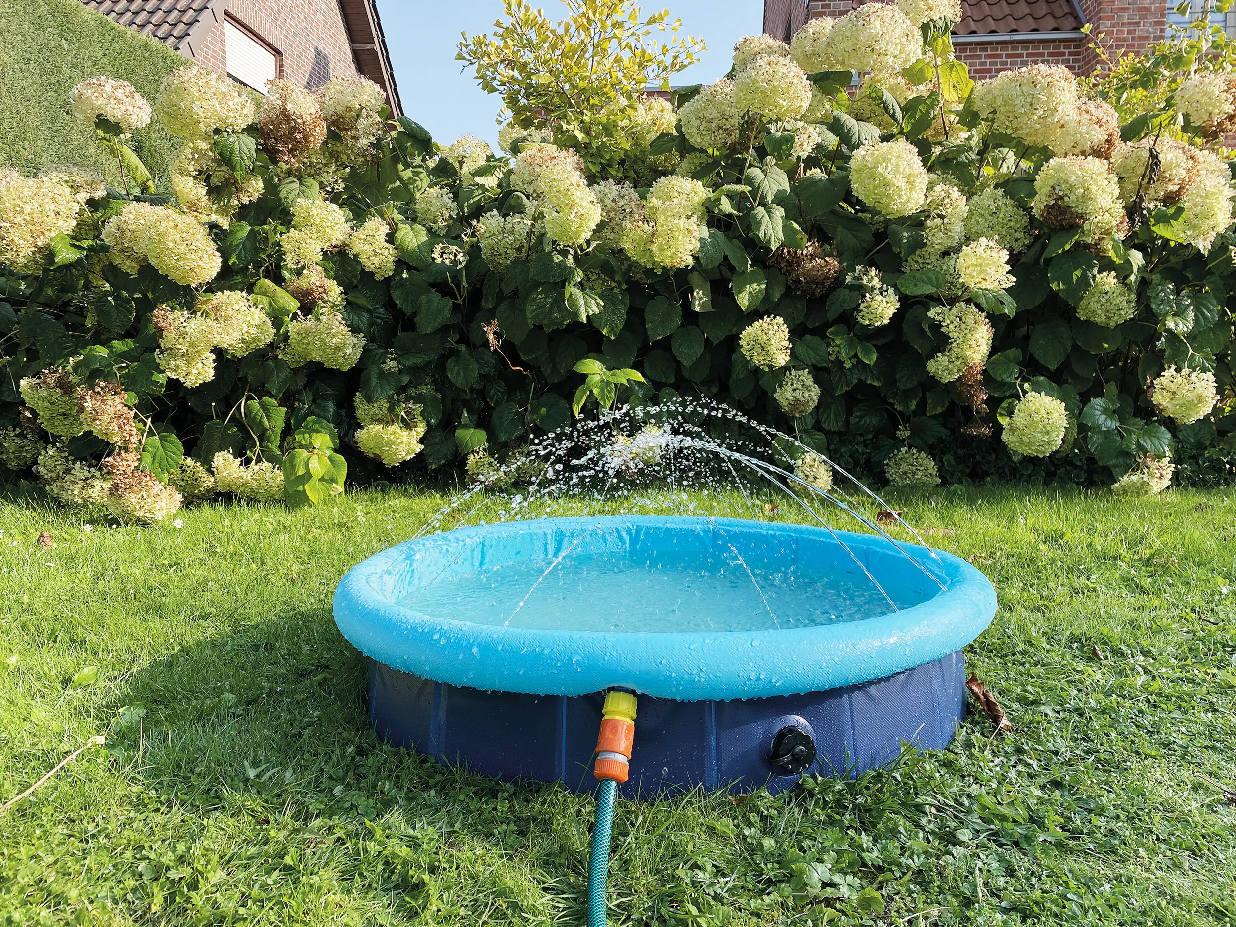 Nobby Hundepool Splash Pool 2 in 1 Ø 80 x 20/25 cm