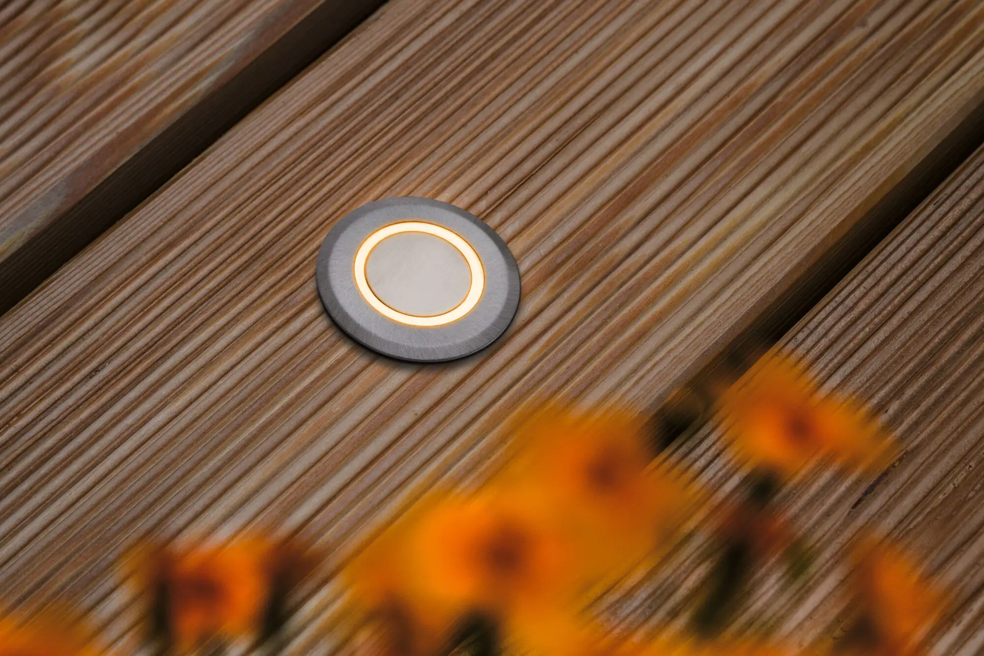 Paulmann LED Bodeneinbauleuchte Ring insect-friendly alu Ø 5 cm warmweiß Paulmann LED Bodeneinbauleuchte Ring insect-friendly alu Ø 5 cm warmweiß