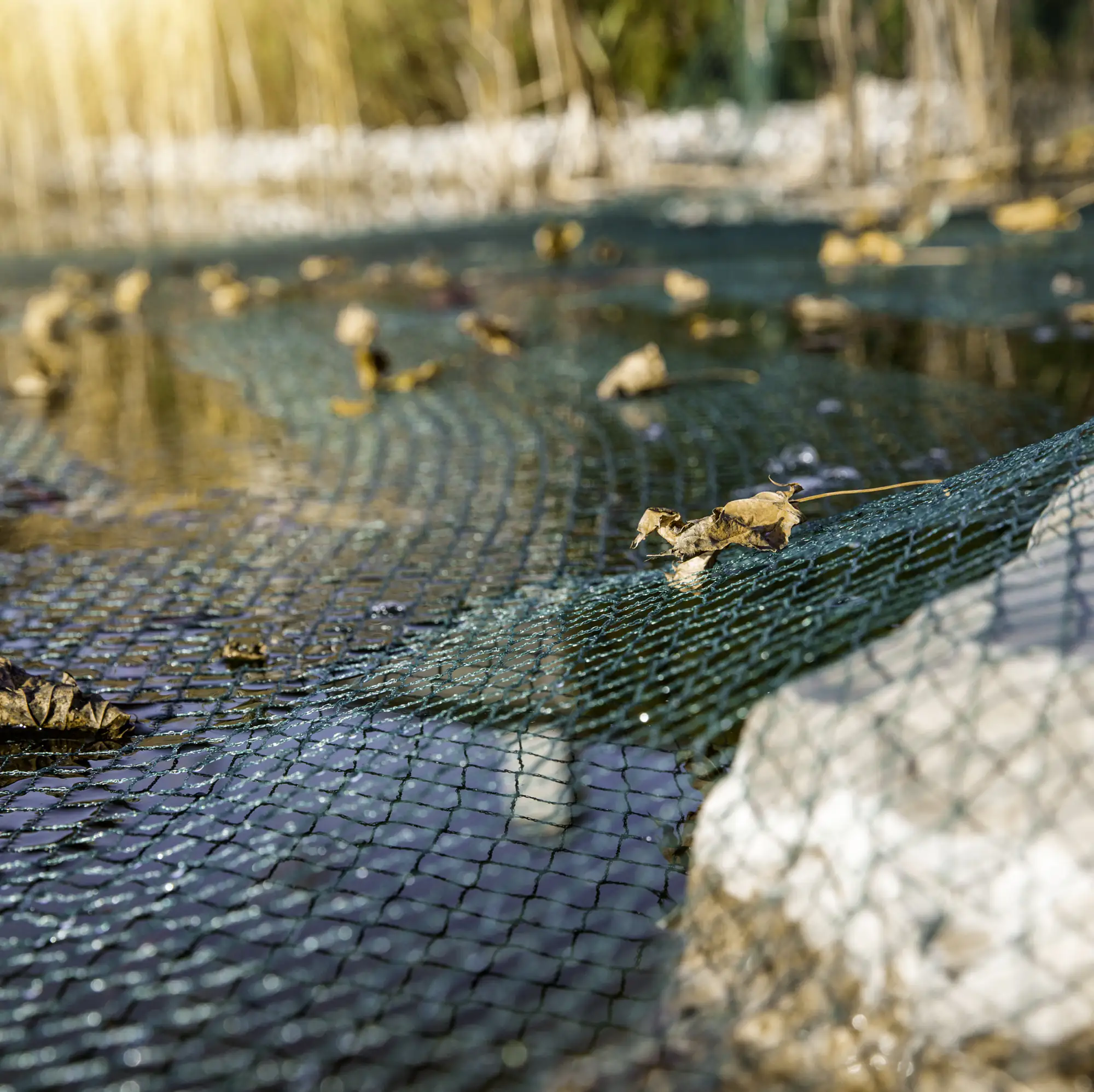 Windhager Laubschutznetz 3 x 2 m, grün