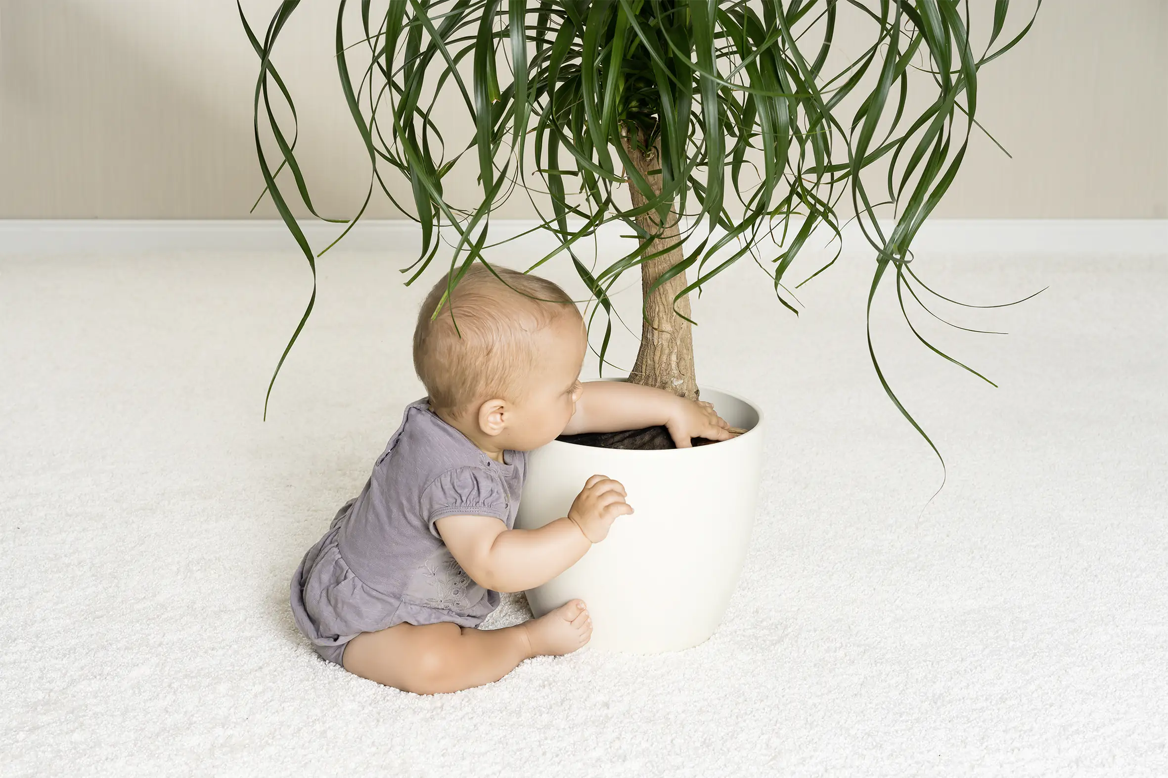 Reer Pflanzenschutznetz Ø 30 cm