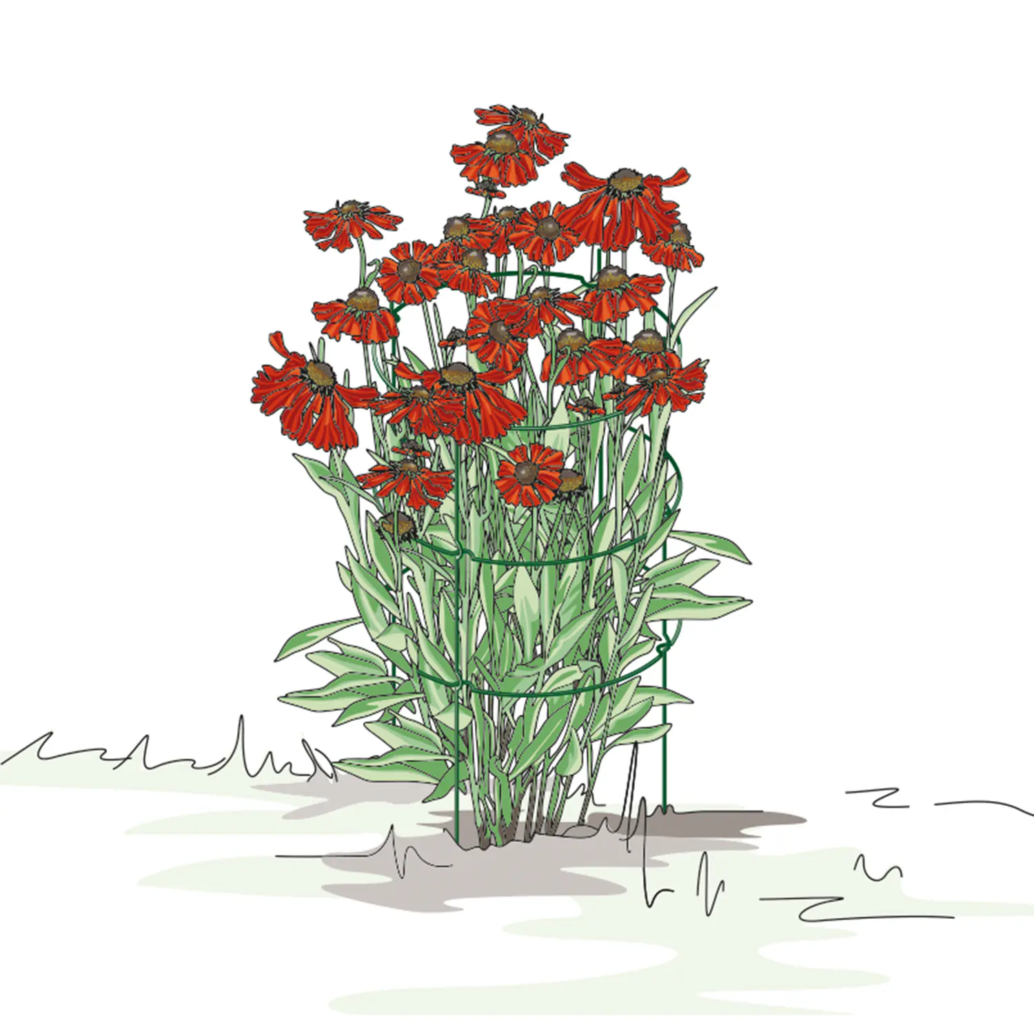 Bellissa Staudenstütze Falter 78 x 43,5 cm