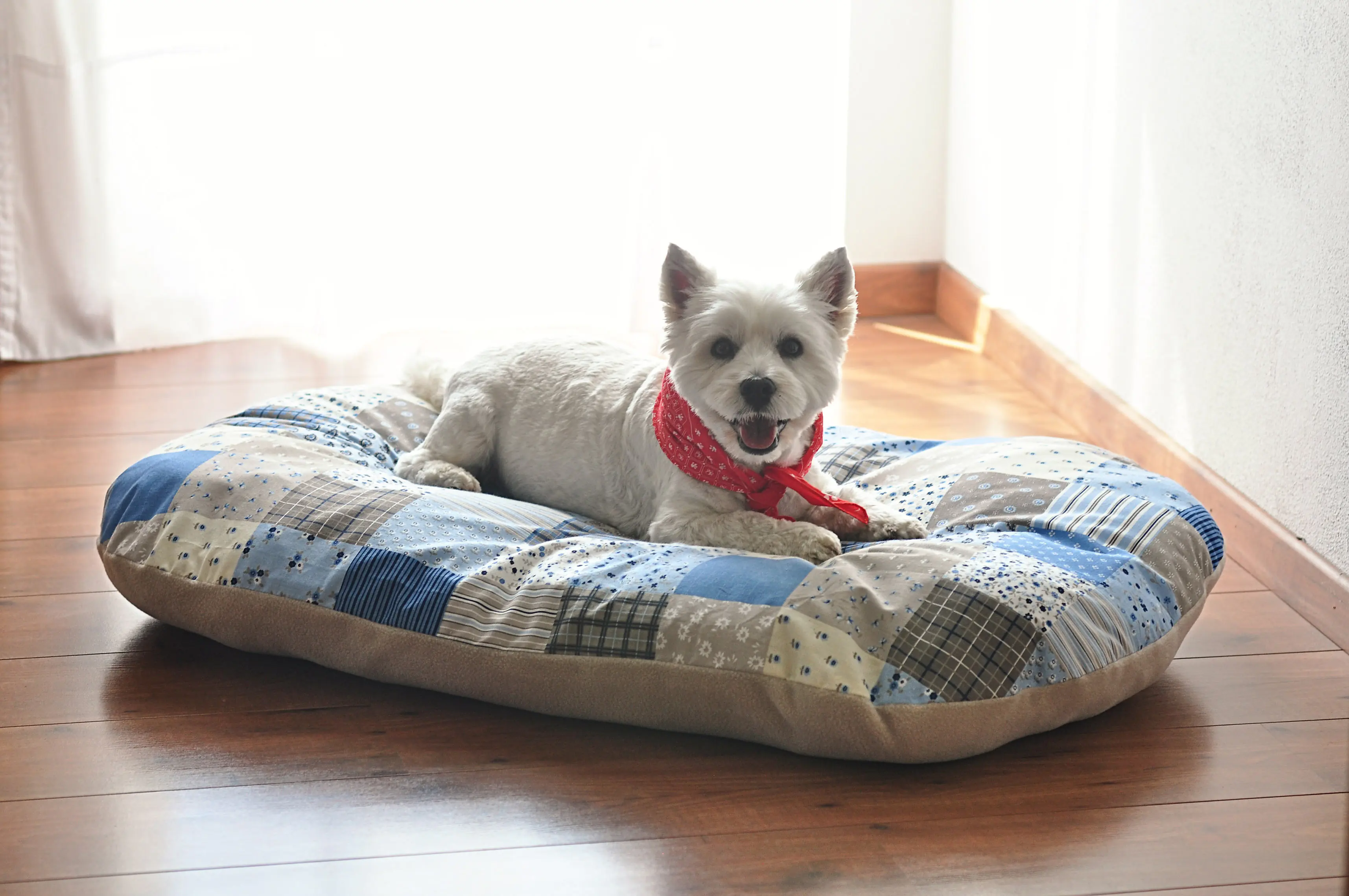 Aumüller Hundekissen Patchwork 50 x 30 x 10 cm blau beige