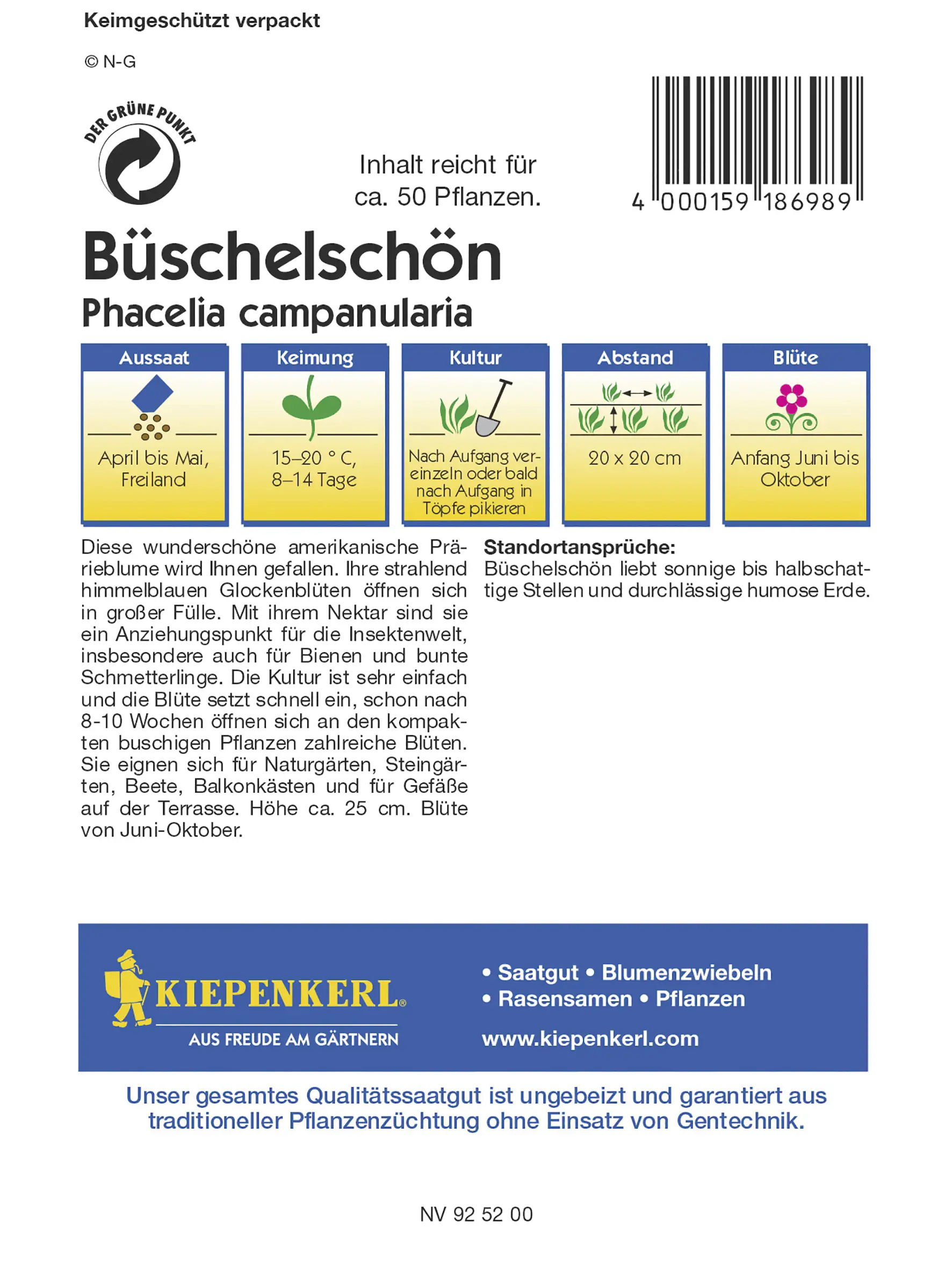 Kiepenkerl Büschelschön Inhalt reicht für ca. 50 Pflanzen