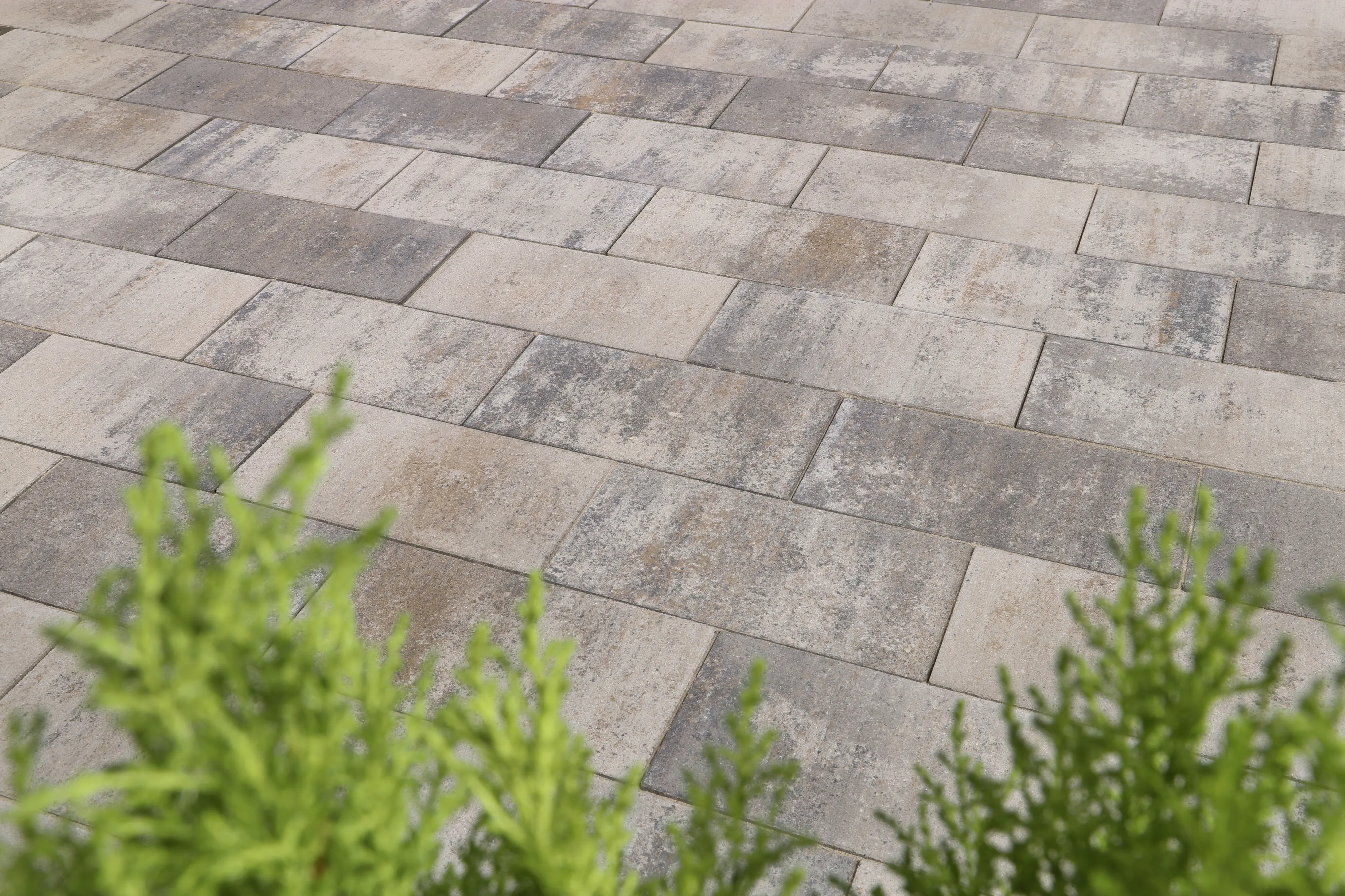 EHL Pflasterstein Veria 40 x 20 x 8 cm beige