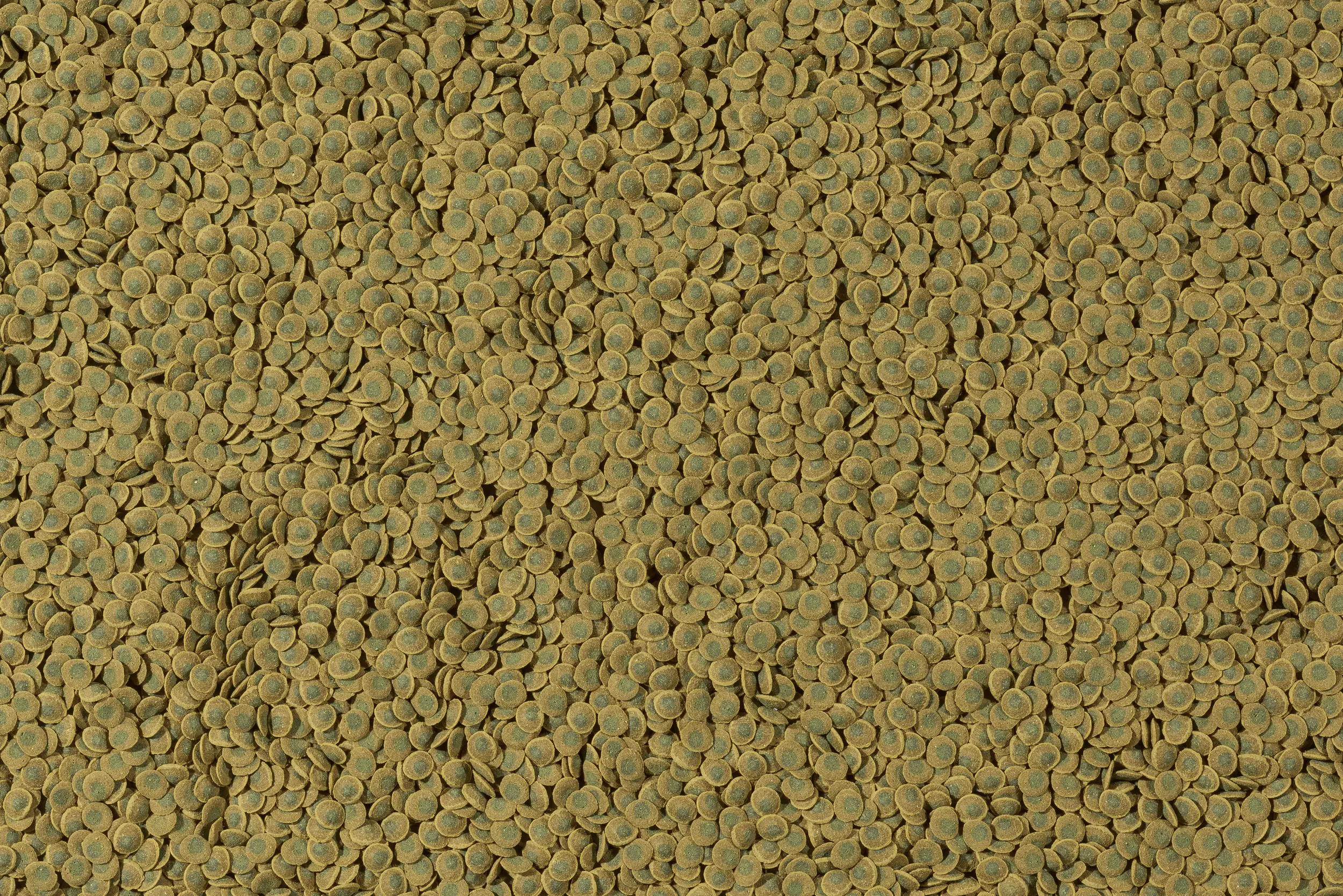 Tetra Pleco Veggie Wafers 250 ml