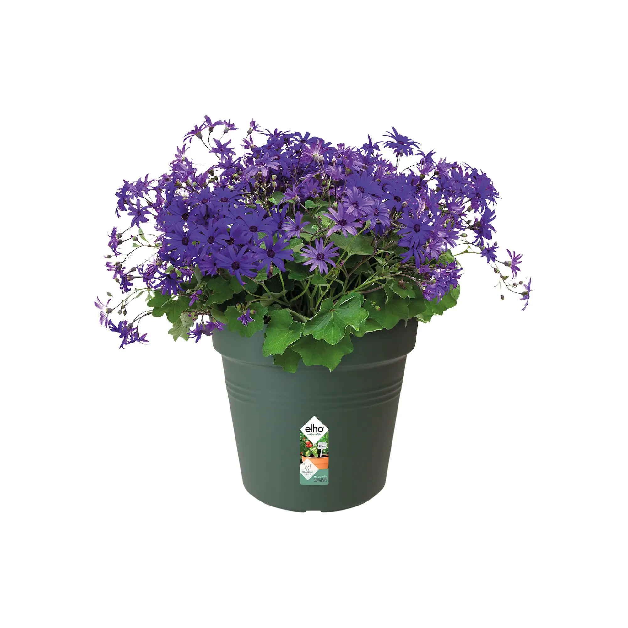 Elho Anzuchtstopf Green Basics Ø 15 cm grün